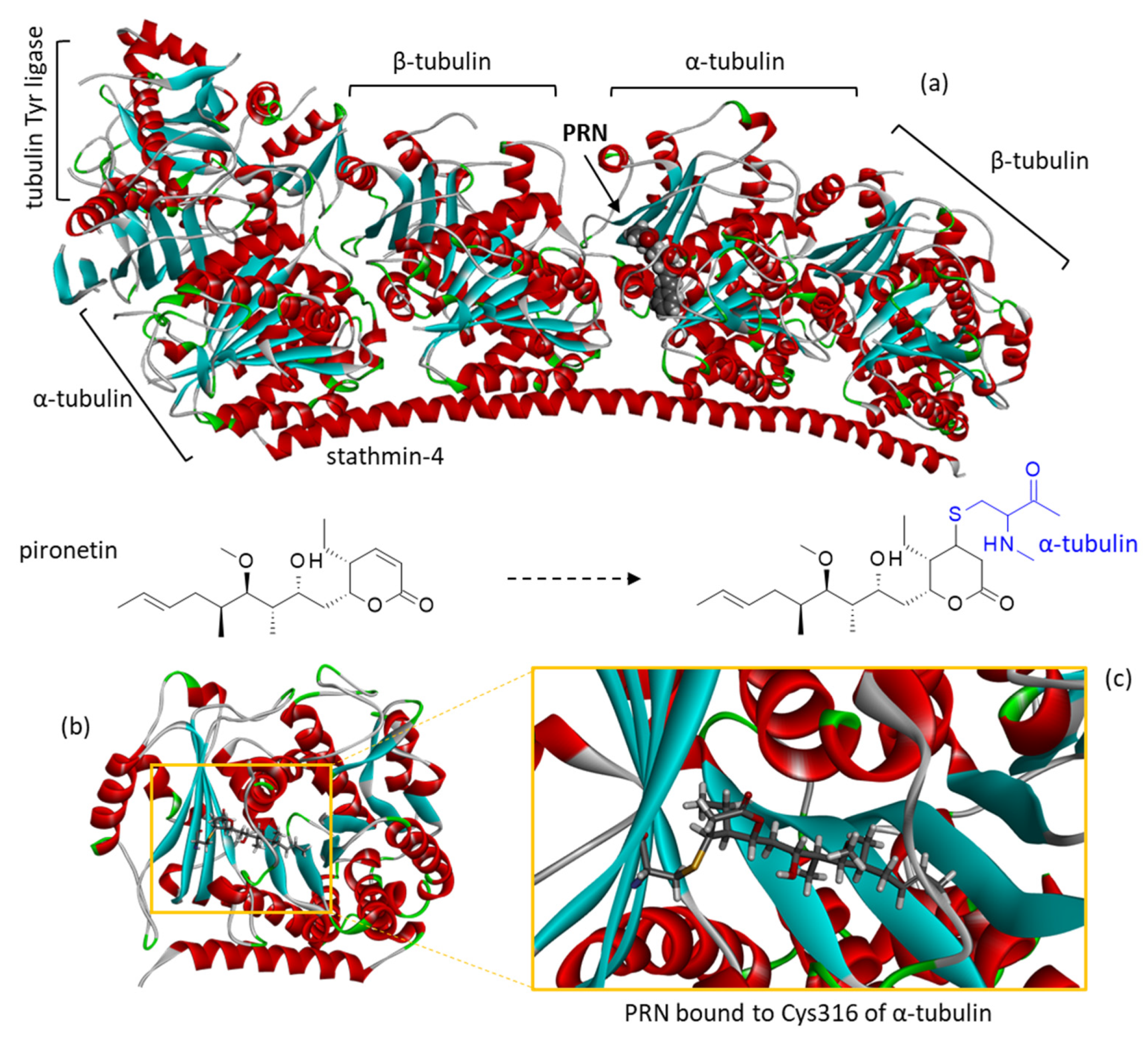 Plants 12 00296 g001