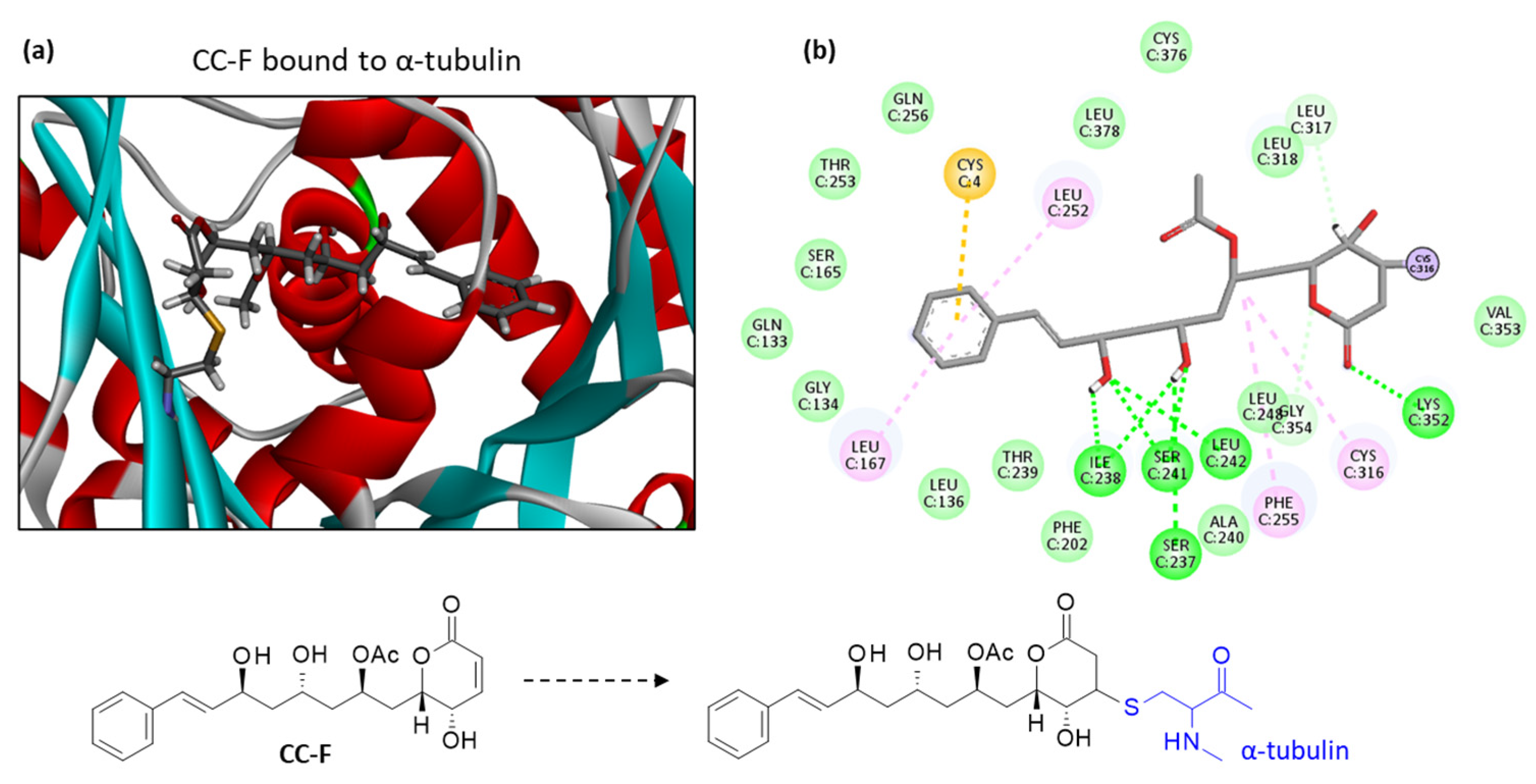 Plants 12 00296 g004