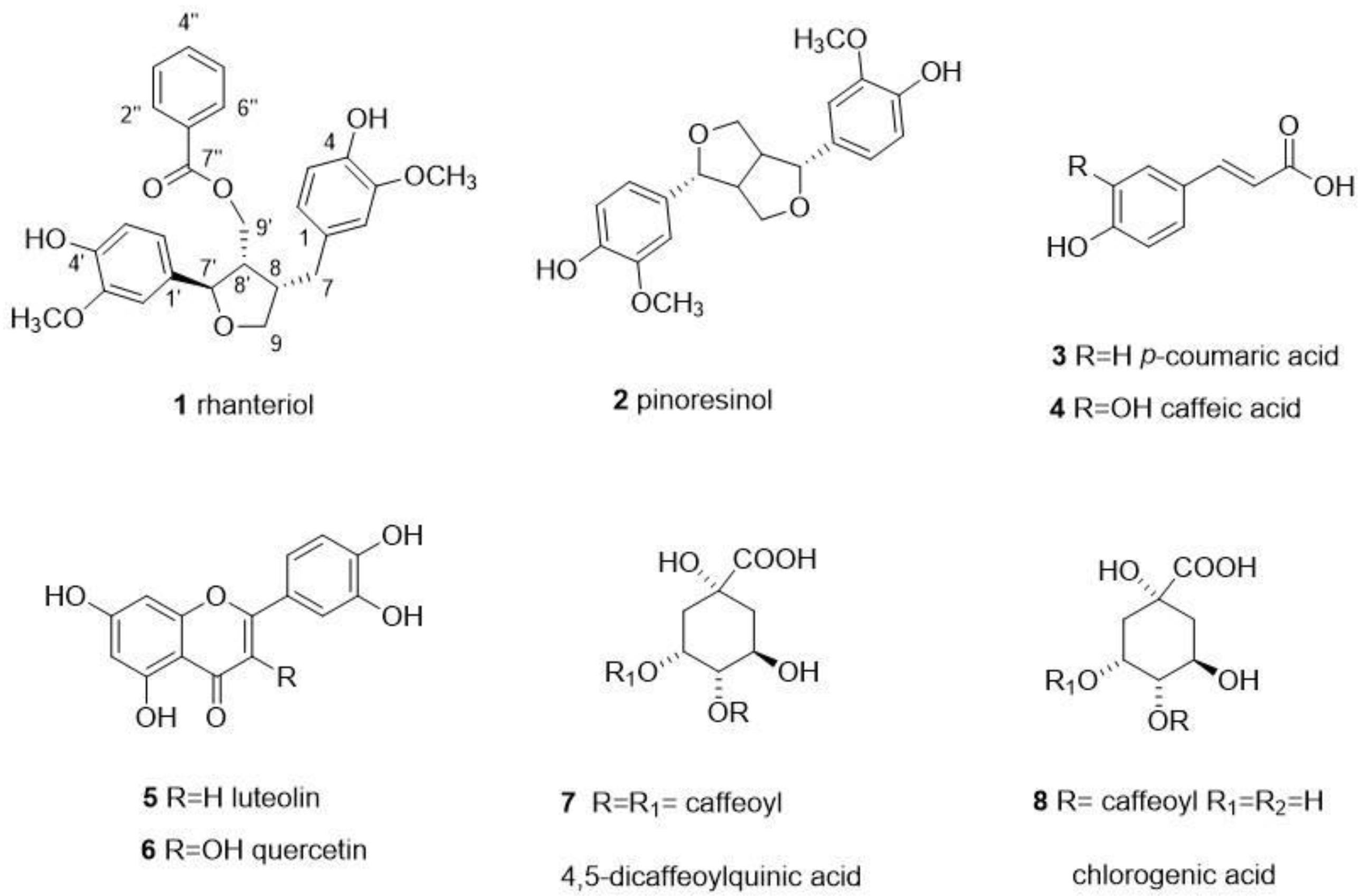 Plants 12 00301 g001