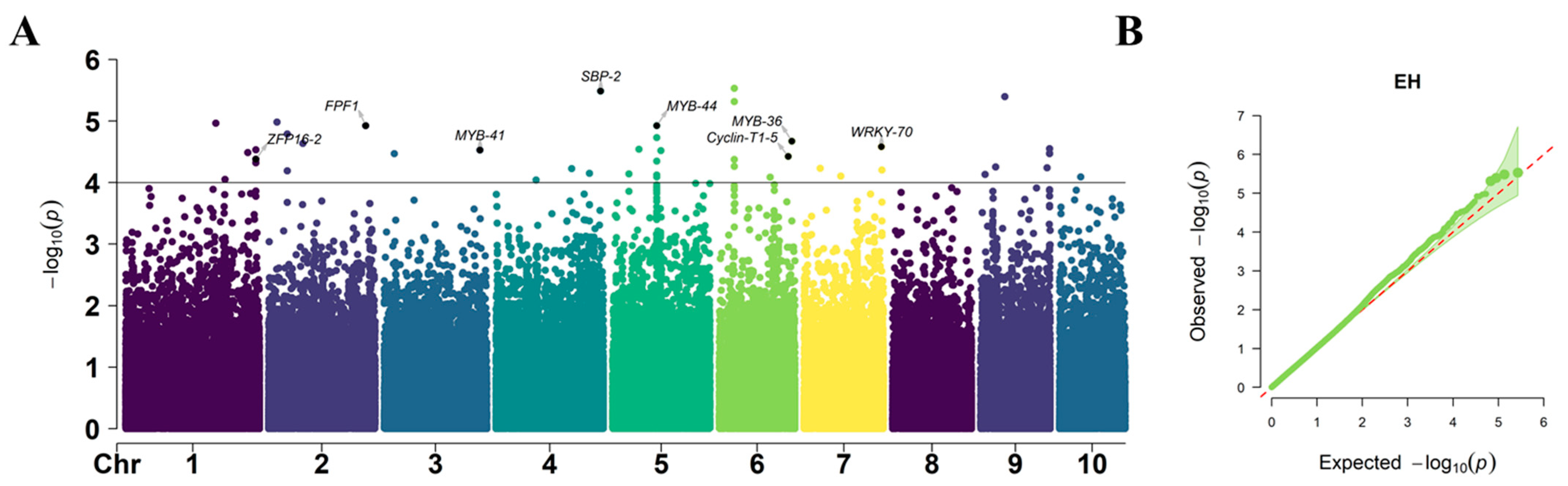 Plants 12 00303 g007