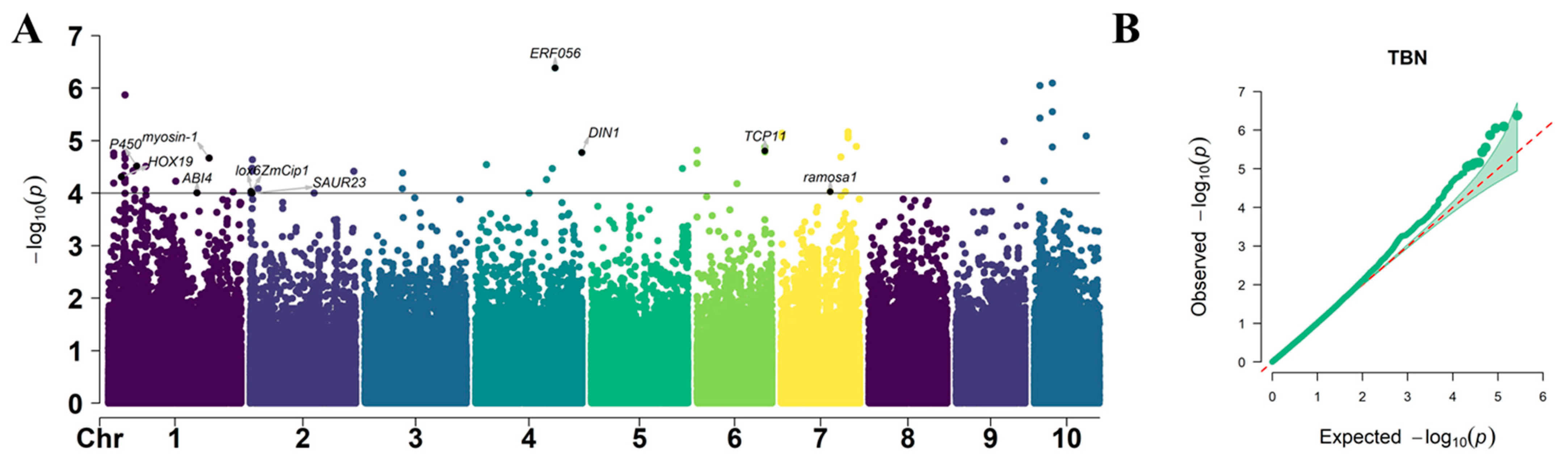 Plants 12 00303 g008