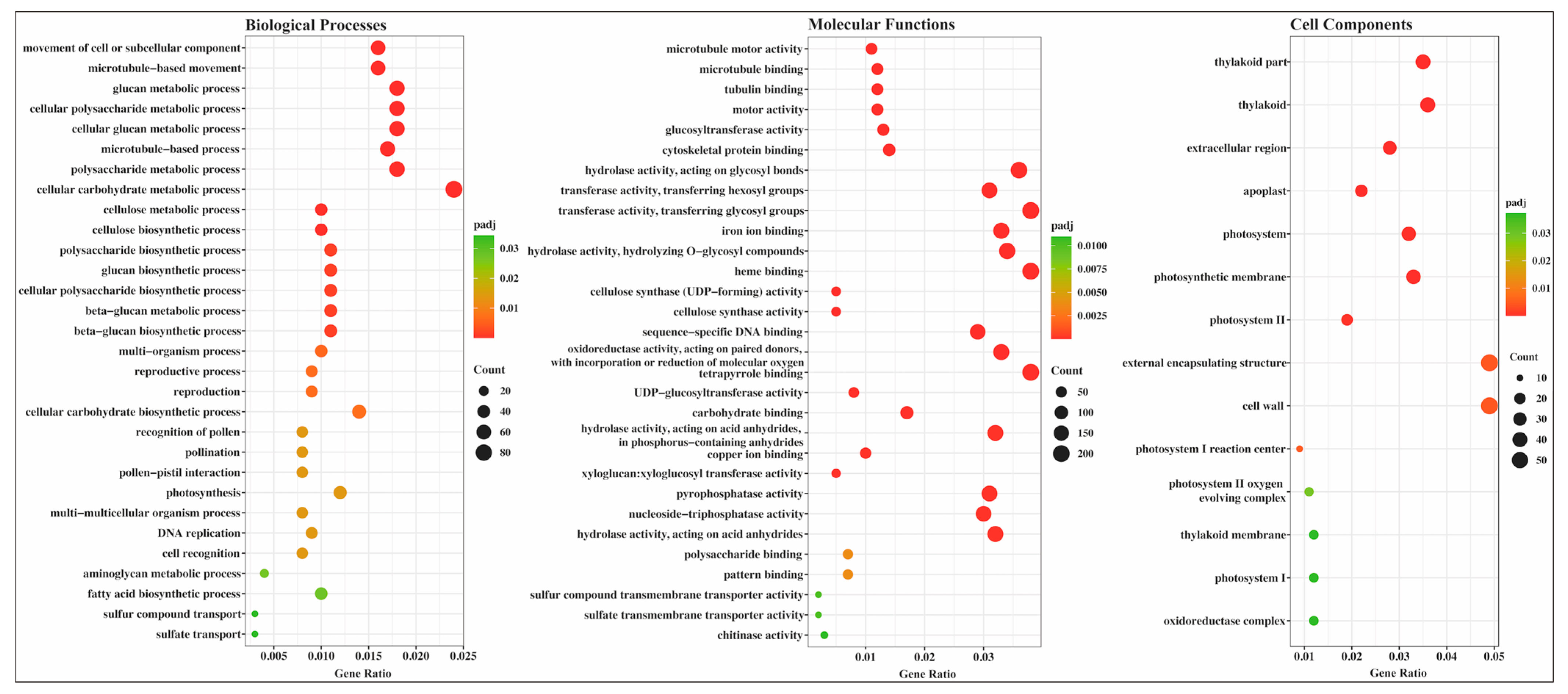 Plants 12 00312 g005