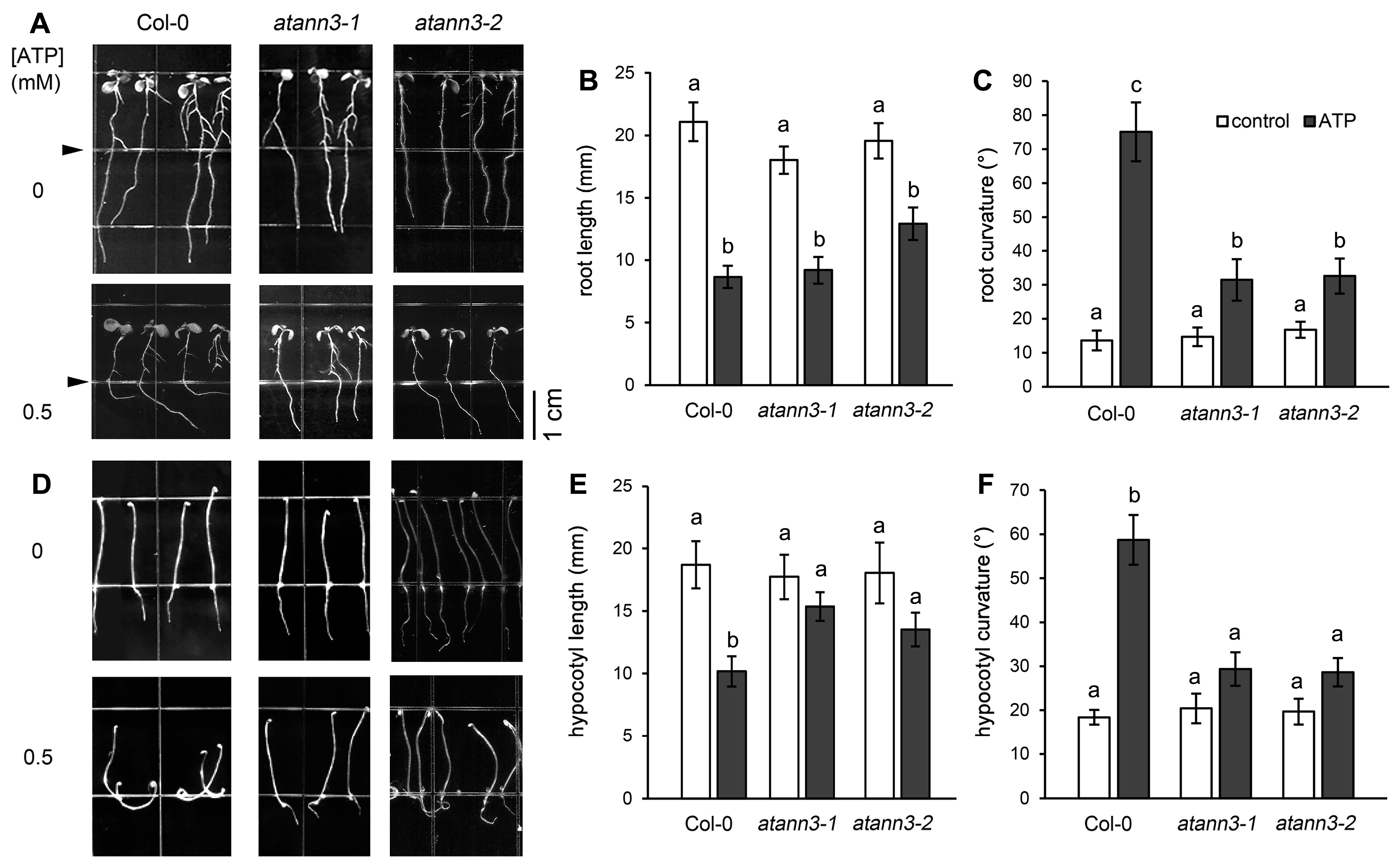 Plants 12 00330 g001