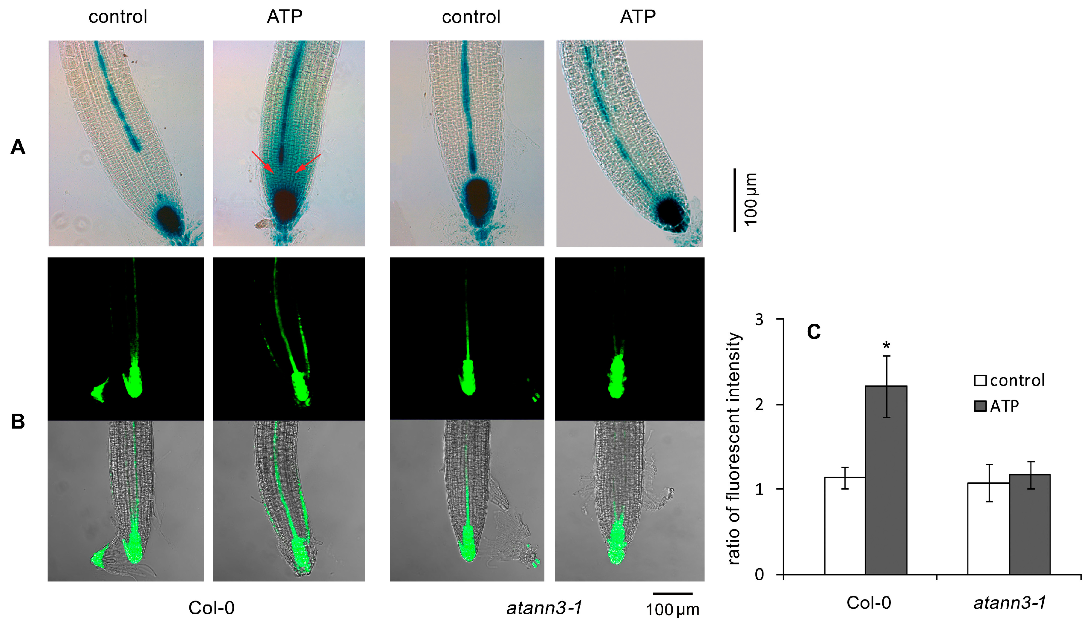 Plants 12 00330 g002