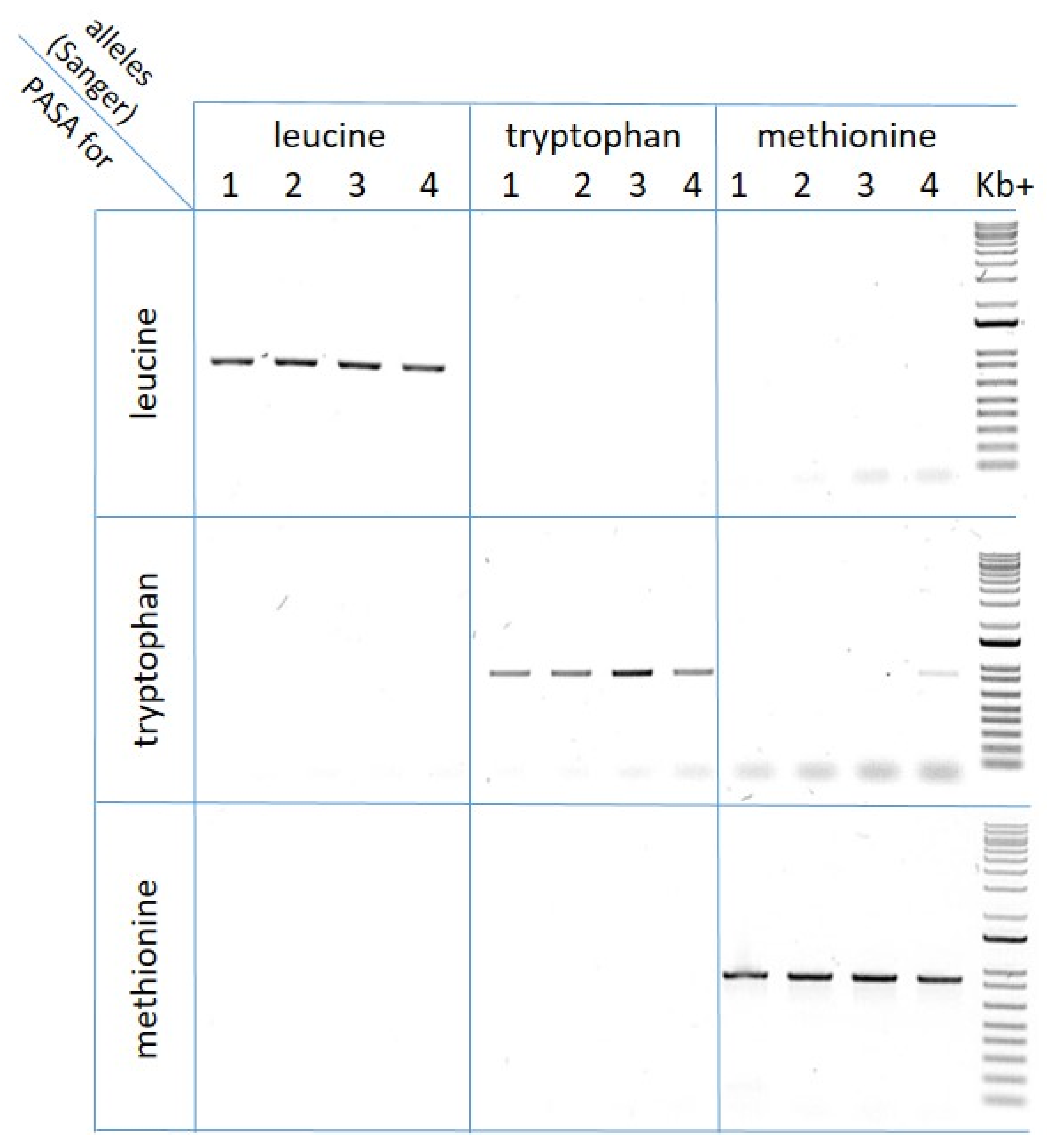 Plants 12 00332 g002