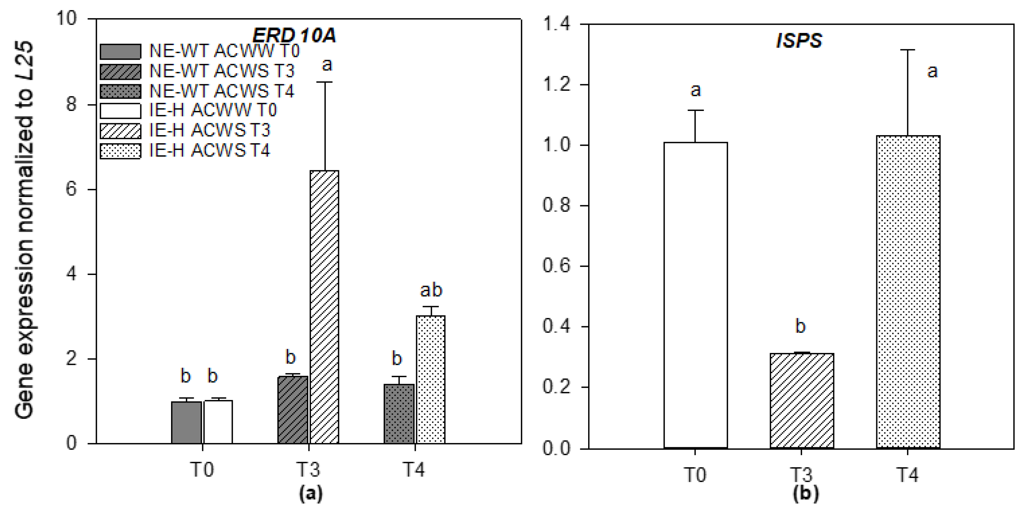 Plants 12 00333 g003 Plants 12 00333 g003