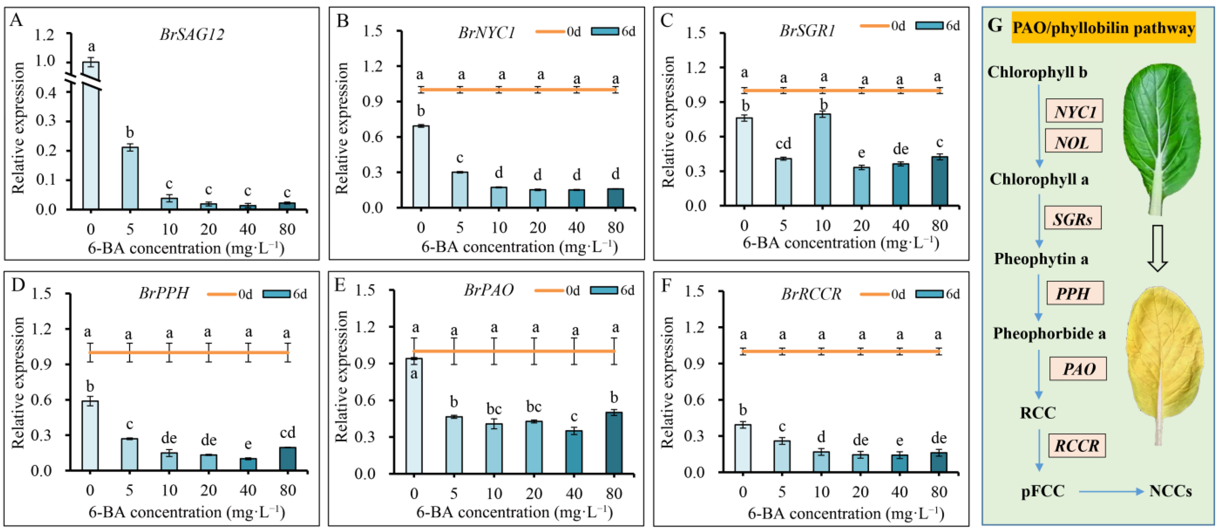 Plants 12 00334 g002