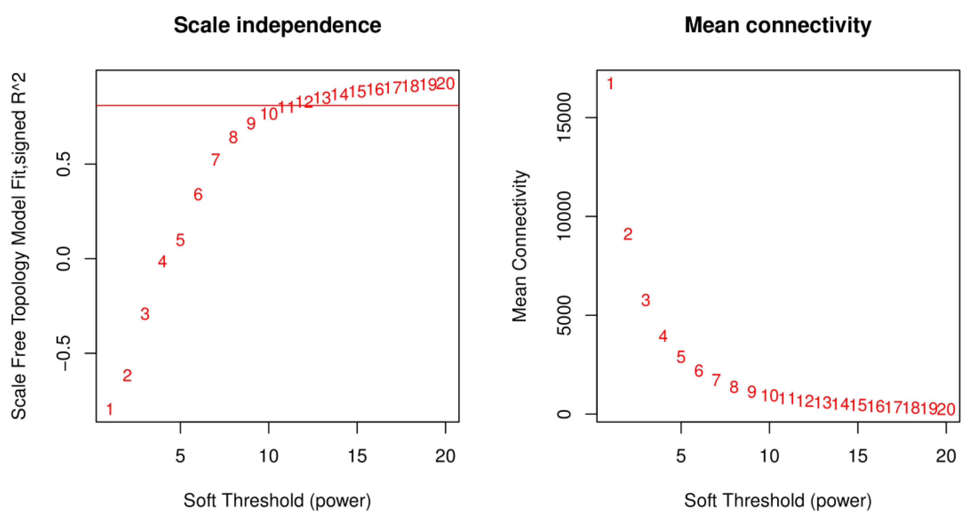 Plants 12 00335 g002
