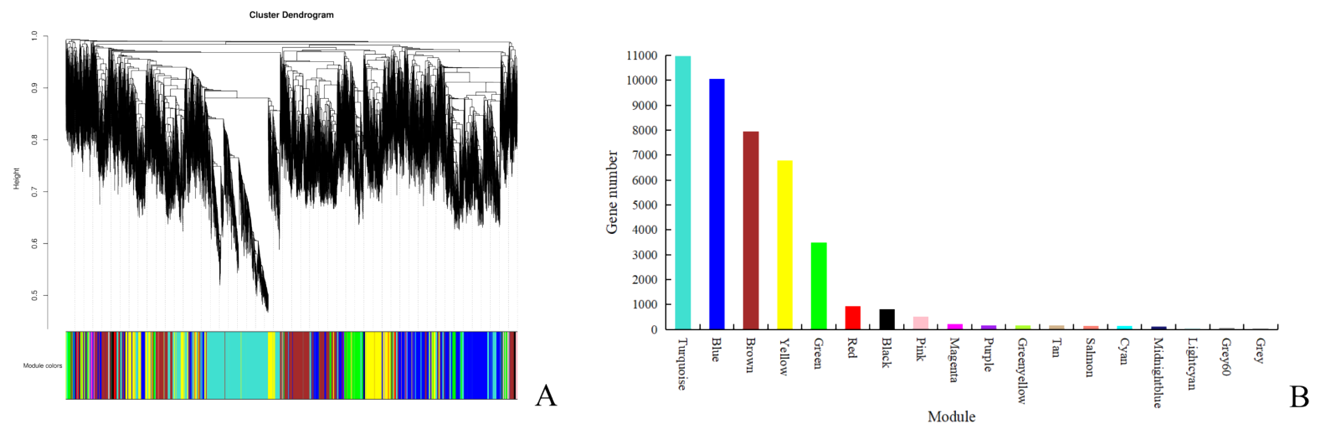 Plants 12 00335 g003
