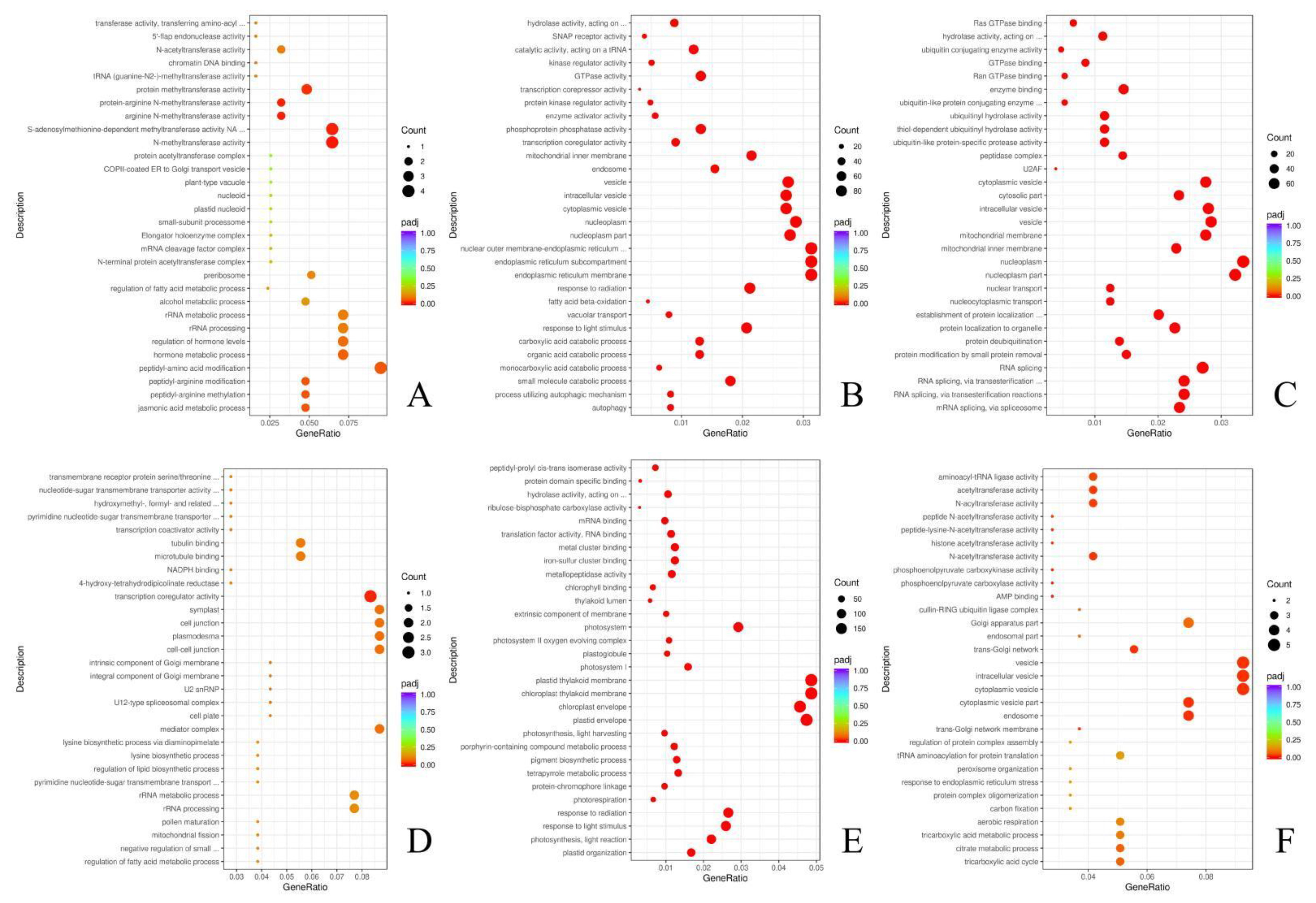 Plants 12 00335 g005