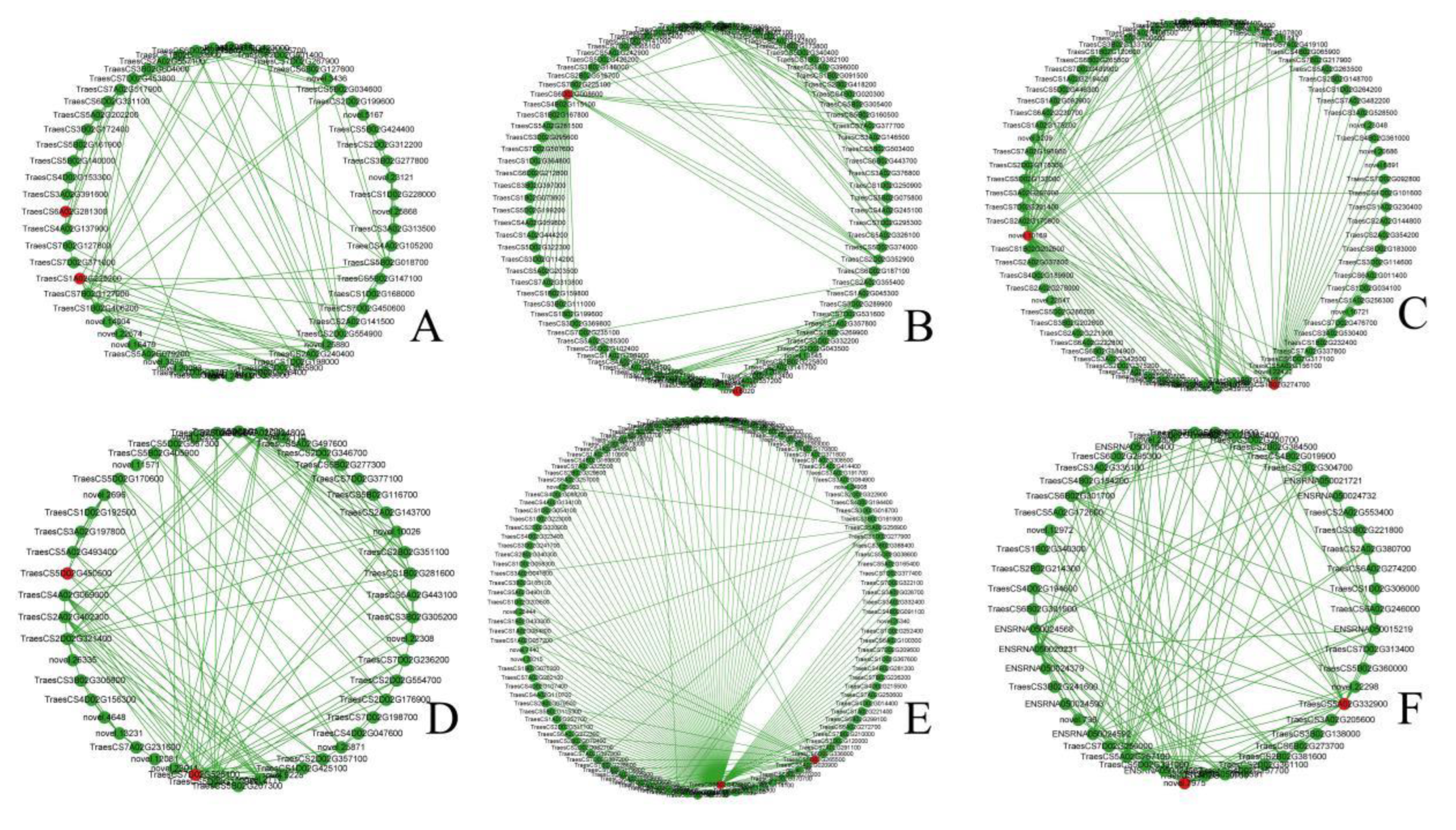Plants 12 00335 g006