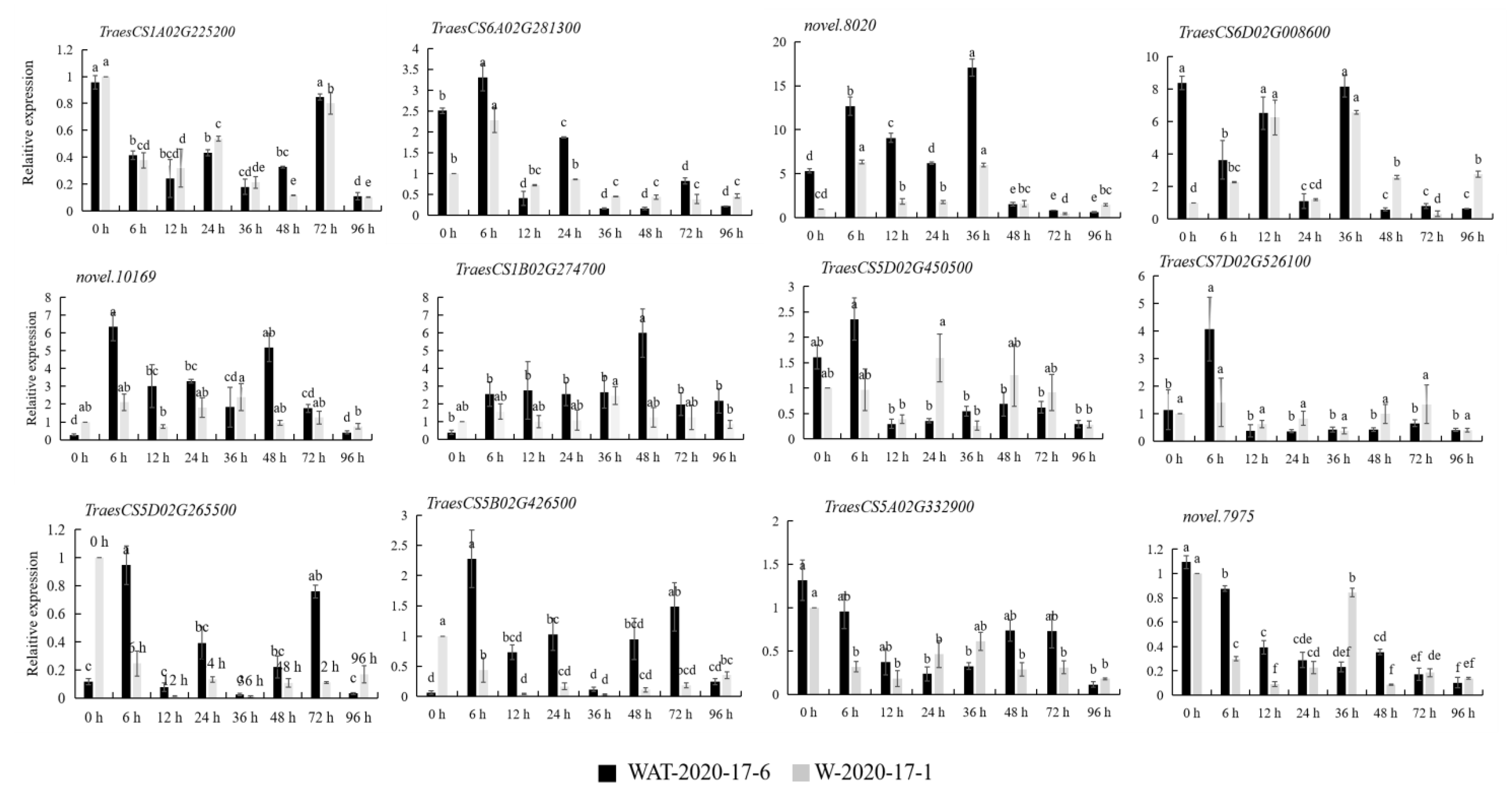 Plants 12 00335 g007