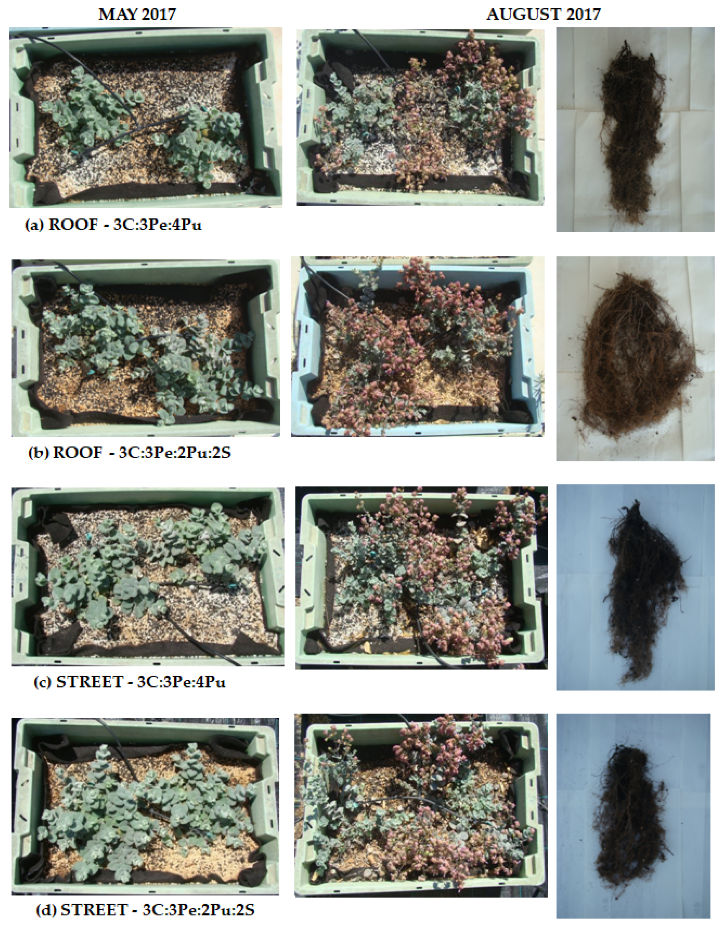 Plants 12 00336 g002