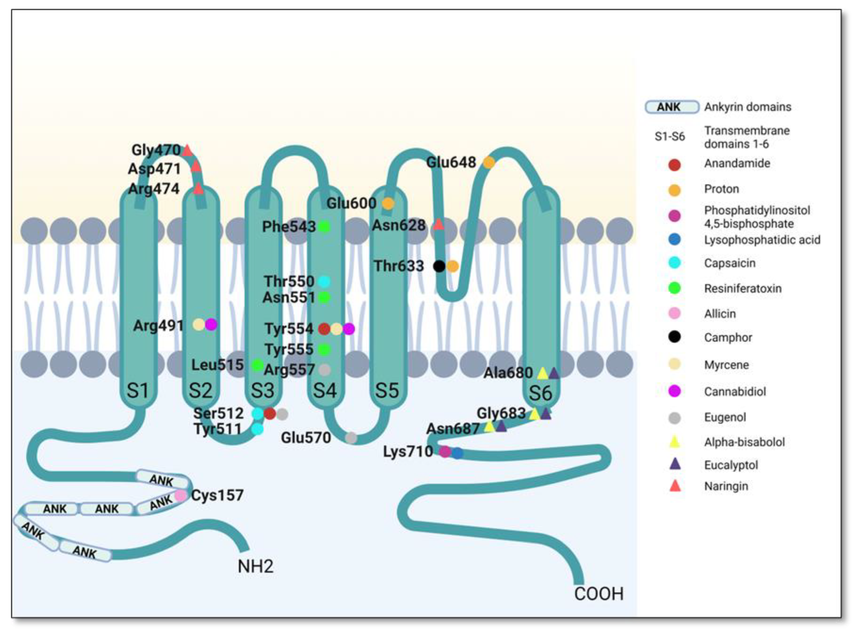 Plants 12 00339 g006