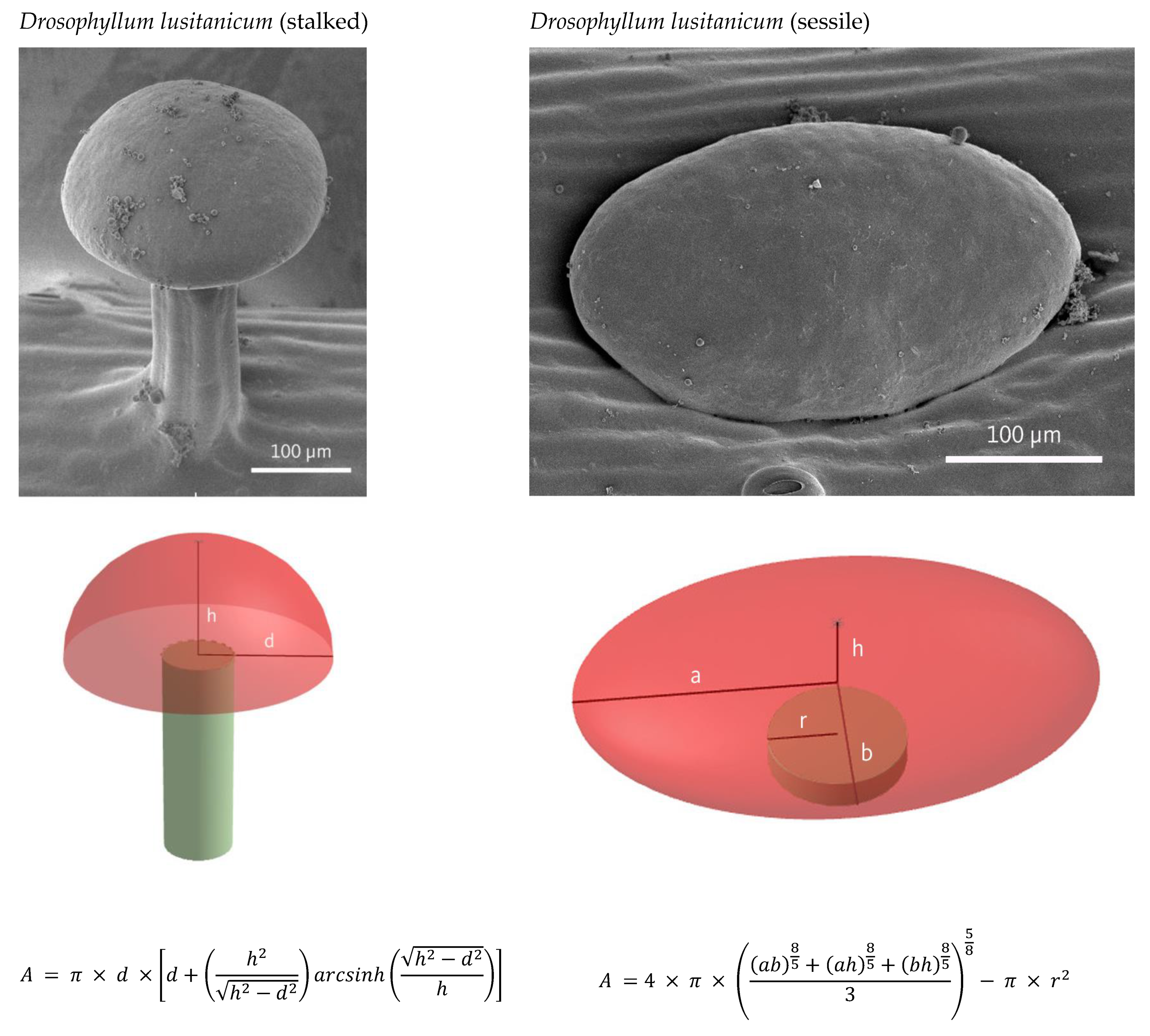Plants 12 00341 g005a