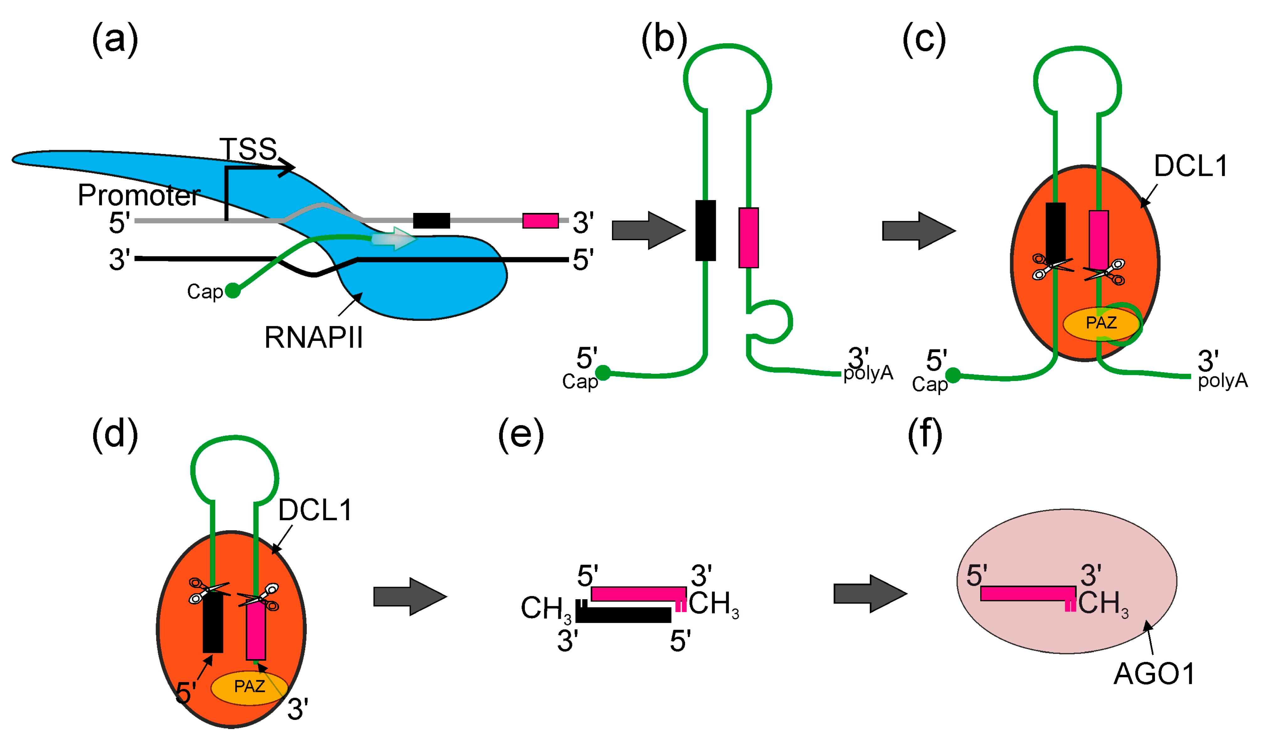 Plants 12 00342 g002