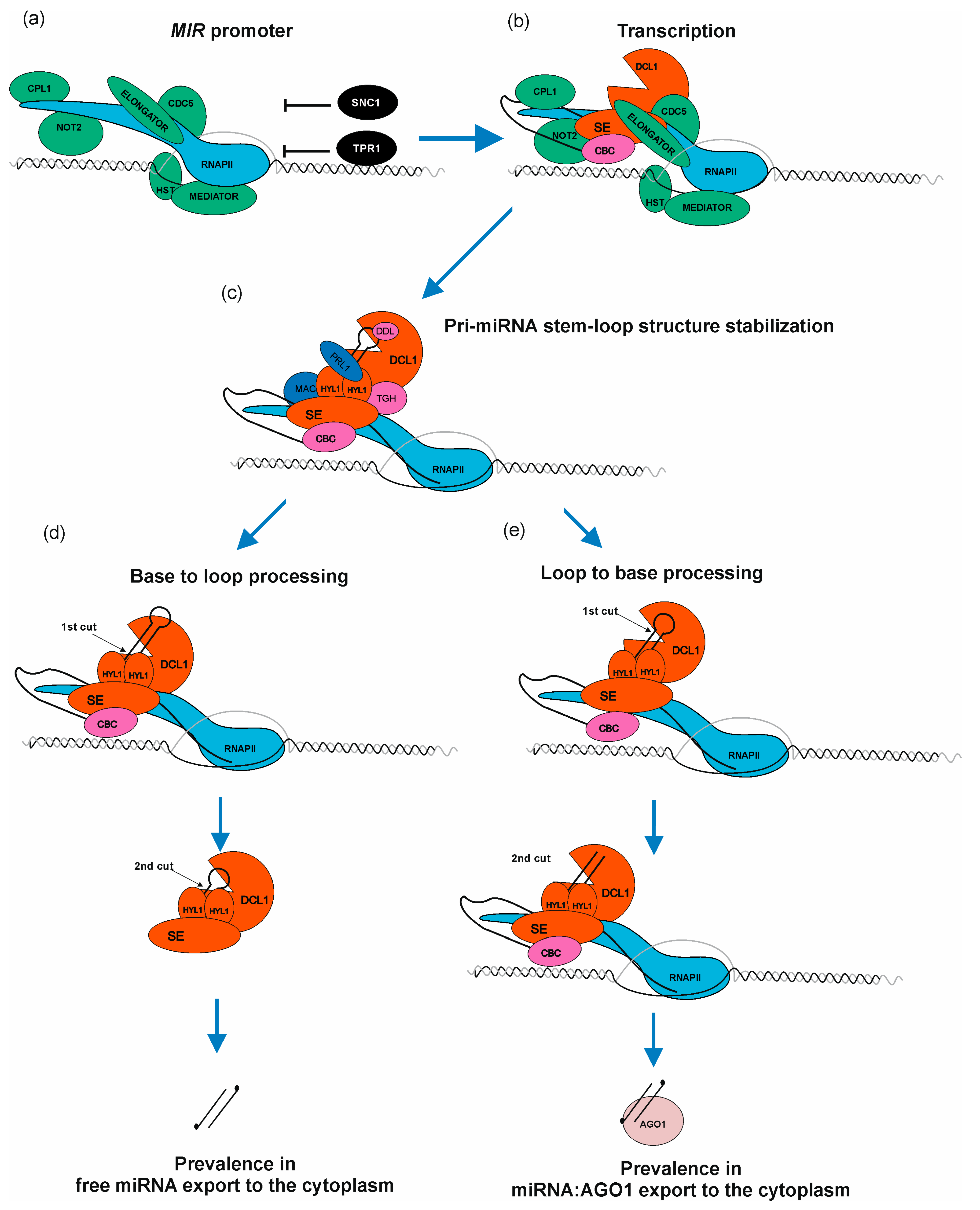 Plants 12 00342 g003