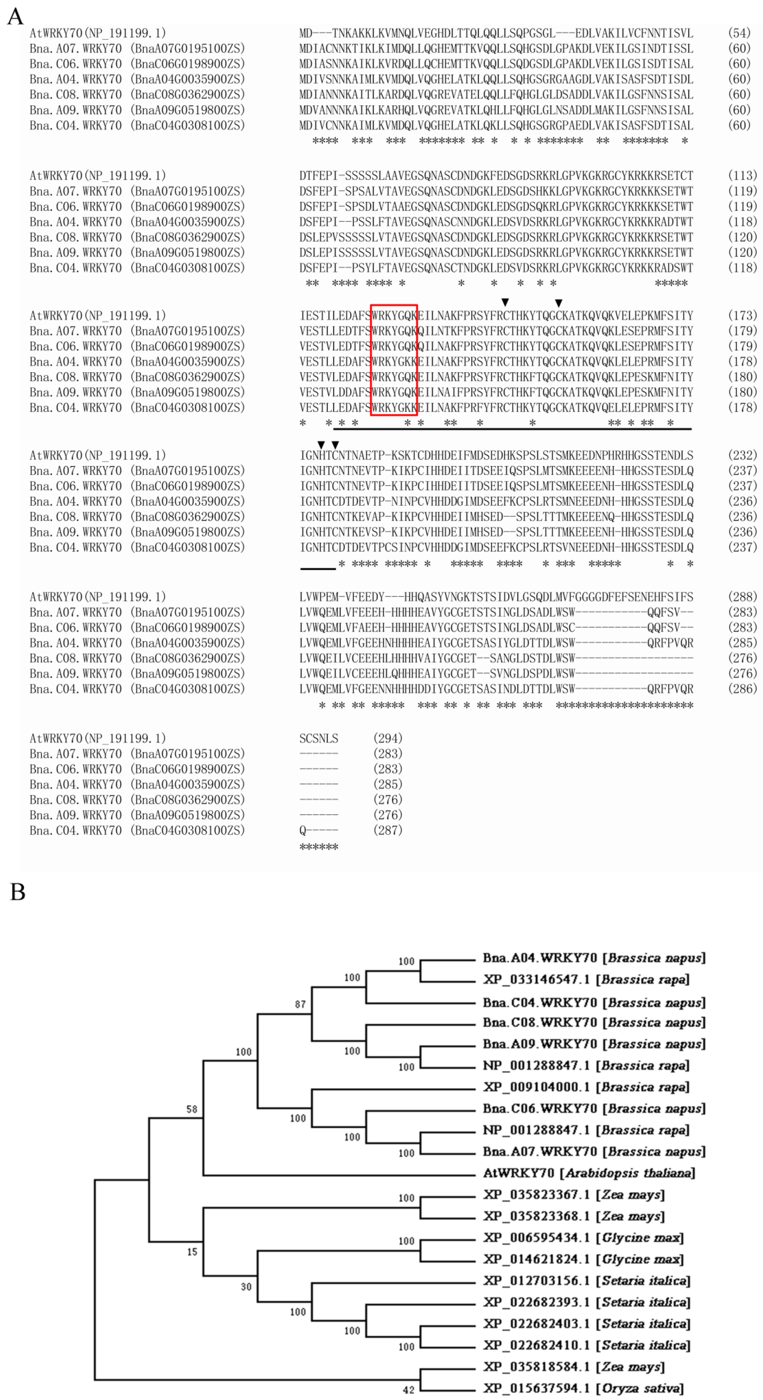 Plants 12 00347 g001
