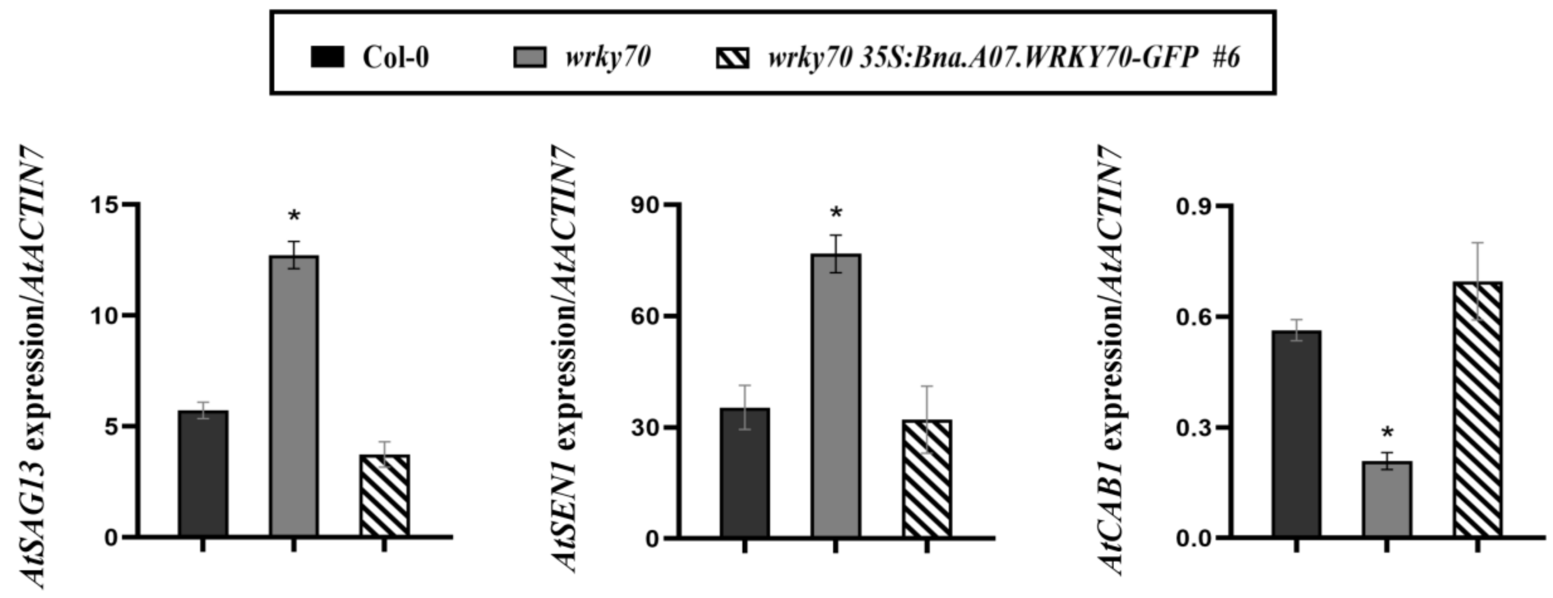 Plants 12 00347 g006