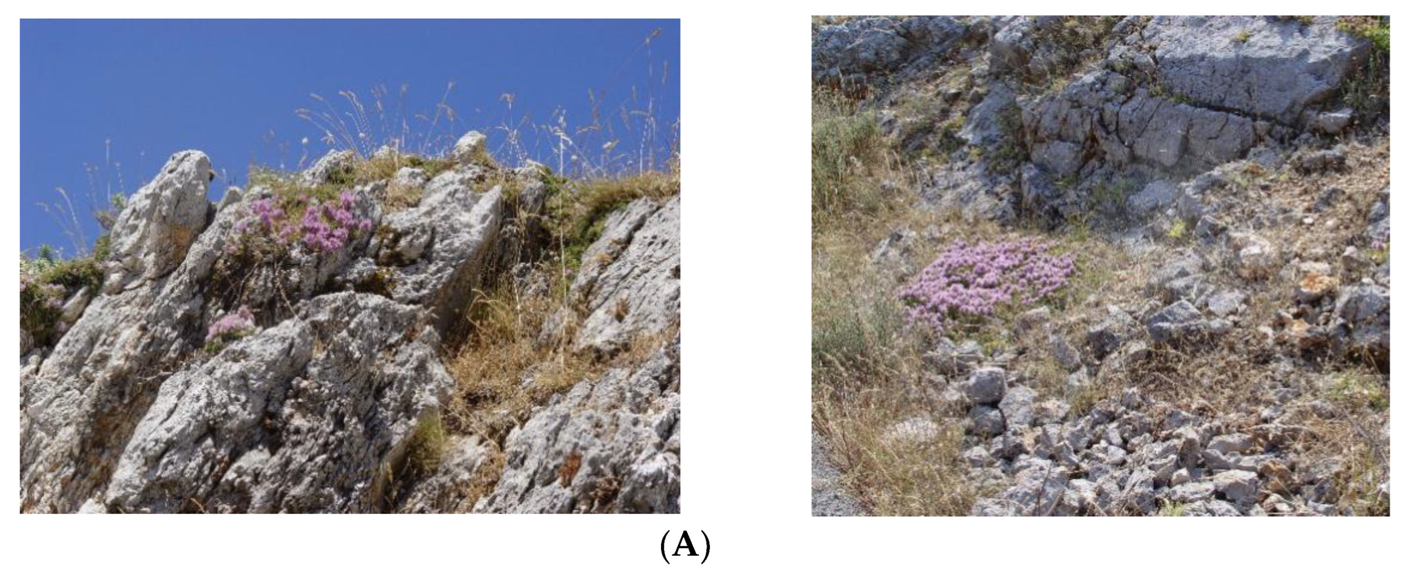 Plants 12 00348 g006a