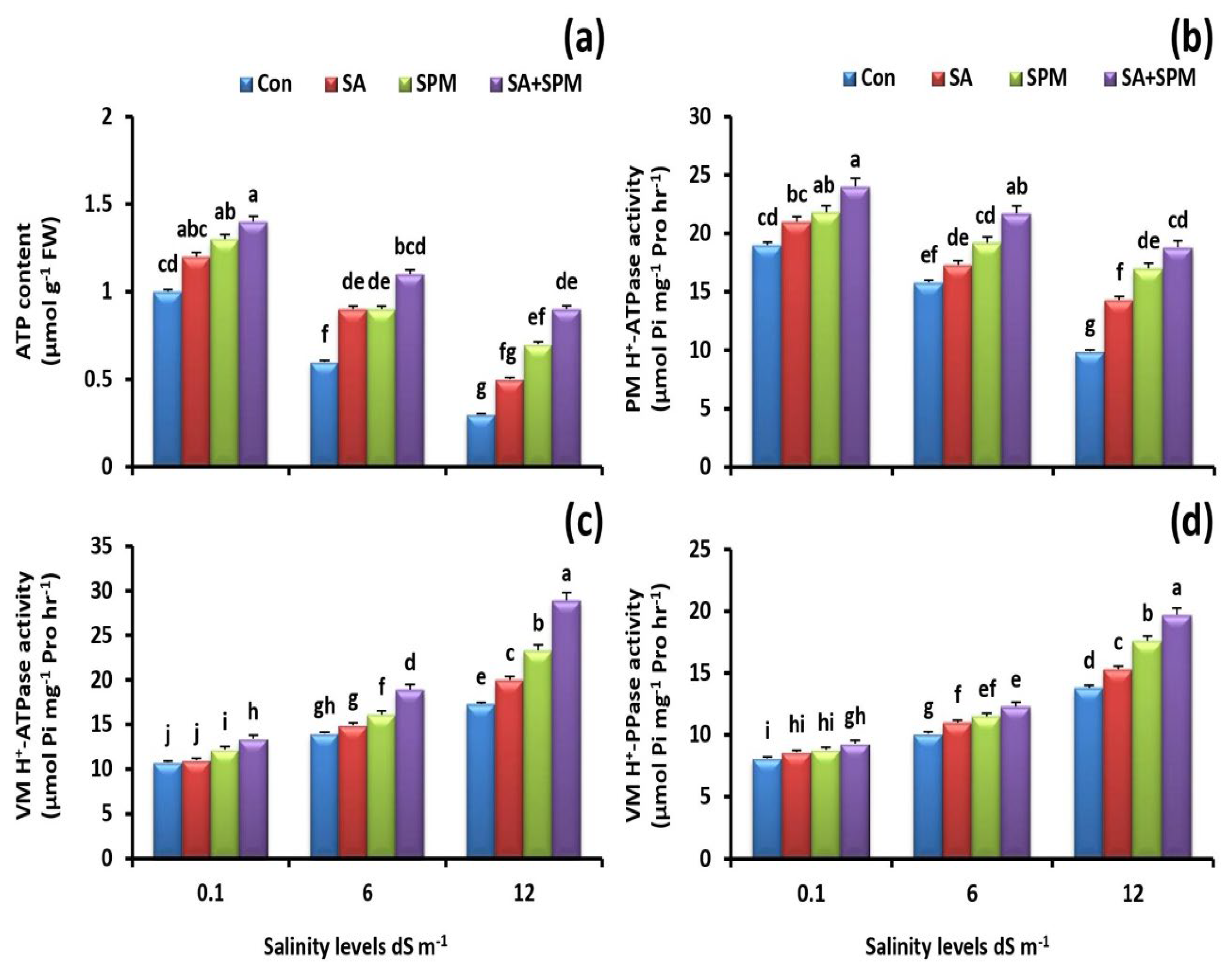 Plants 12 00352 g004