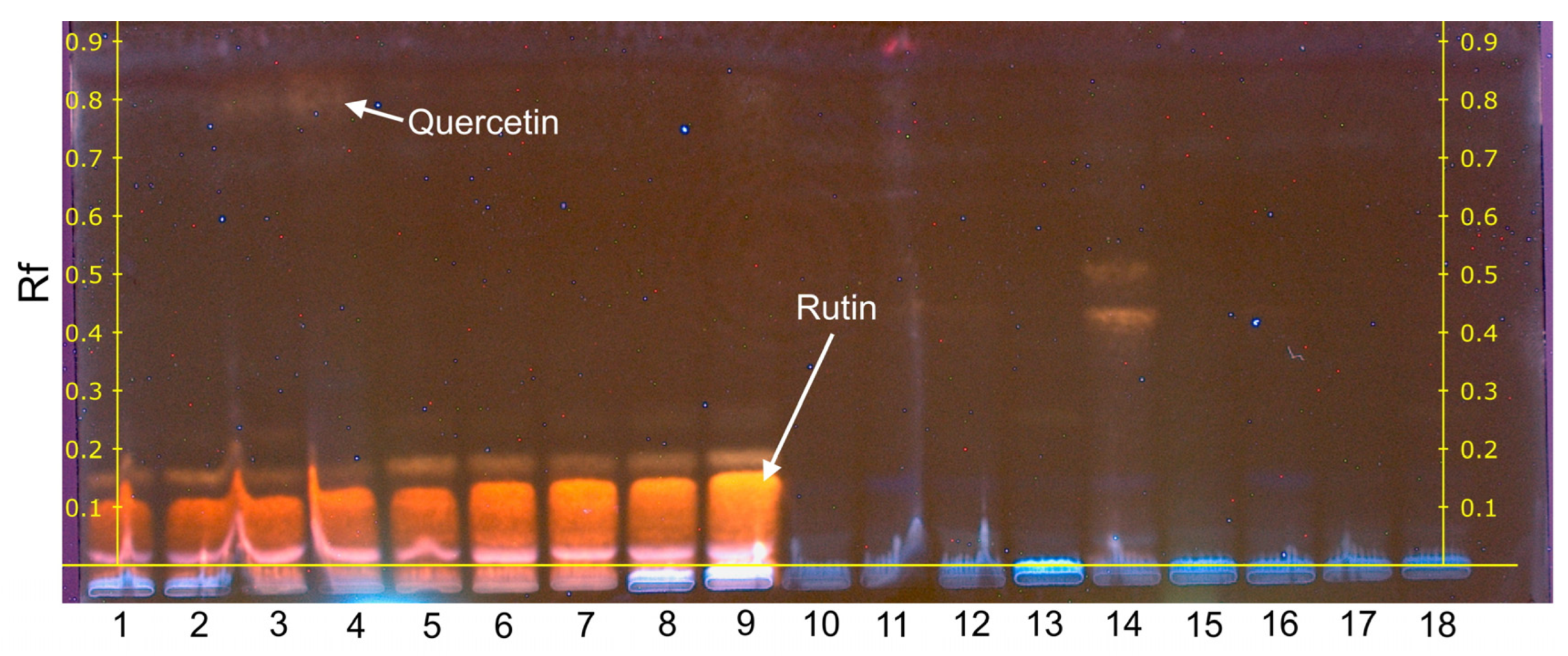 Plants 12 00356 g004