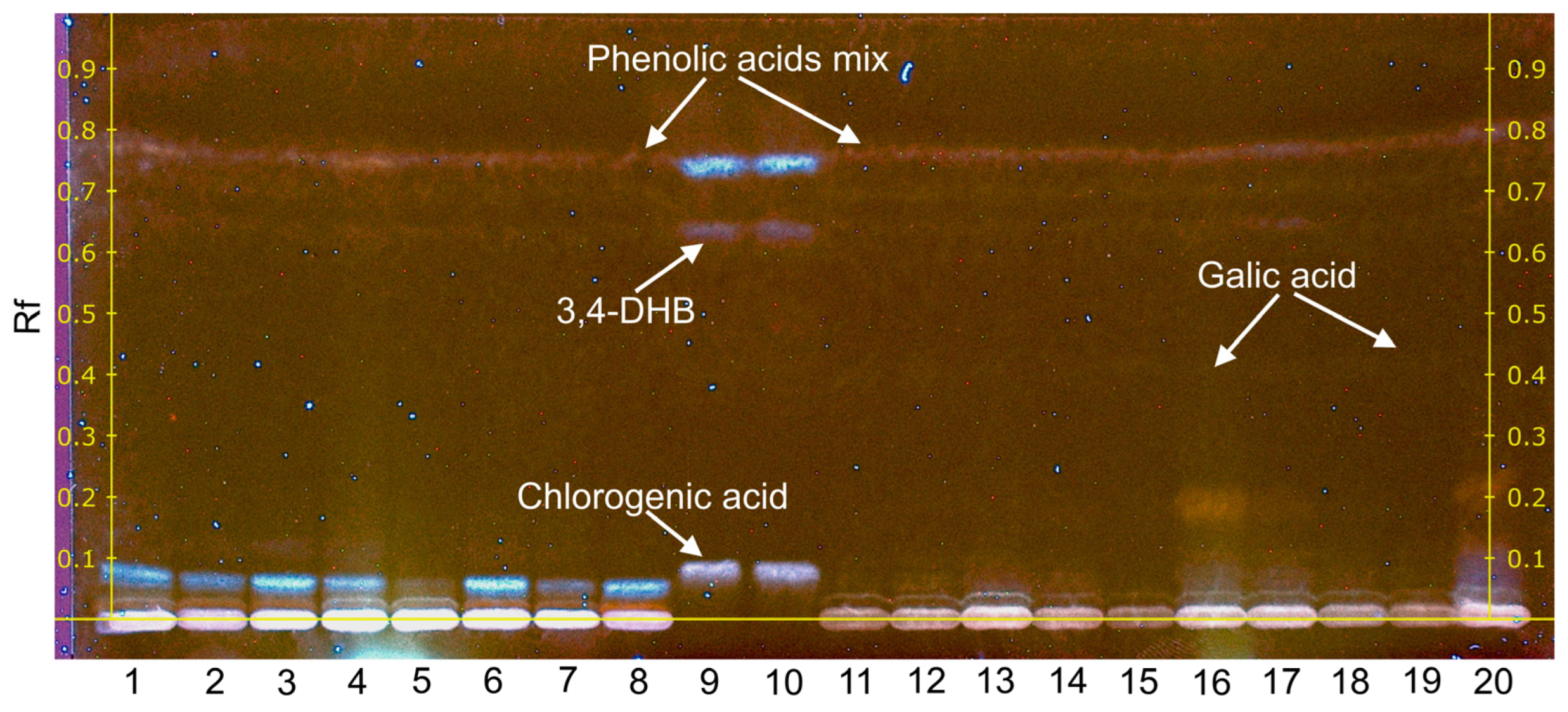 Plants 12 00356 g005