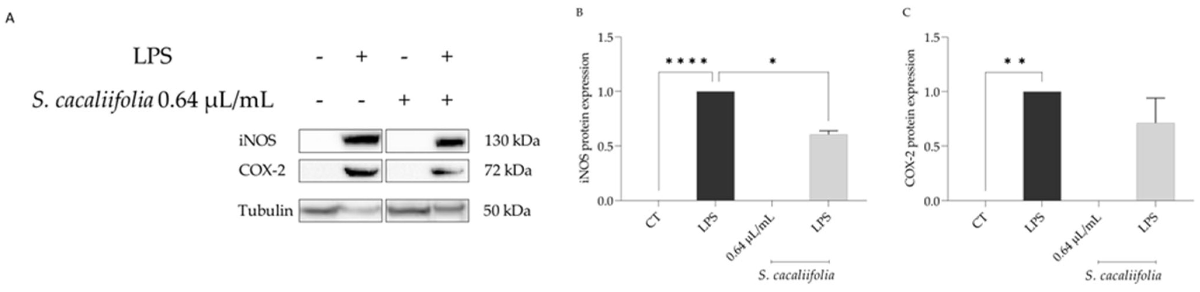 Plants 12 00359 g002