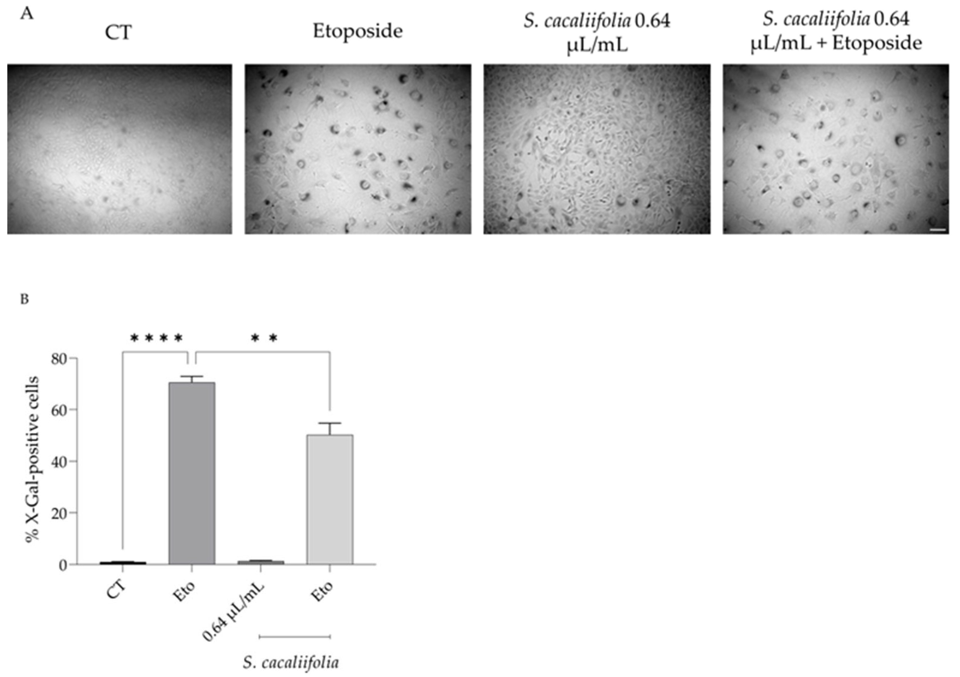 Plants 12 00359 g004