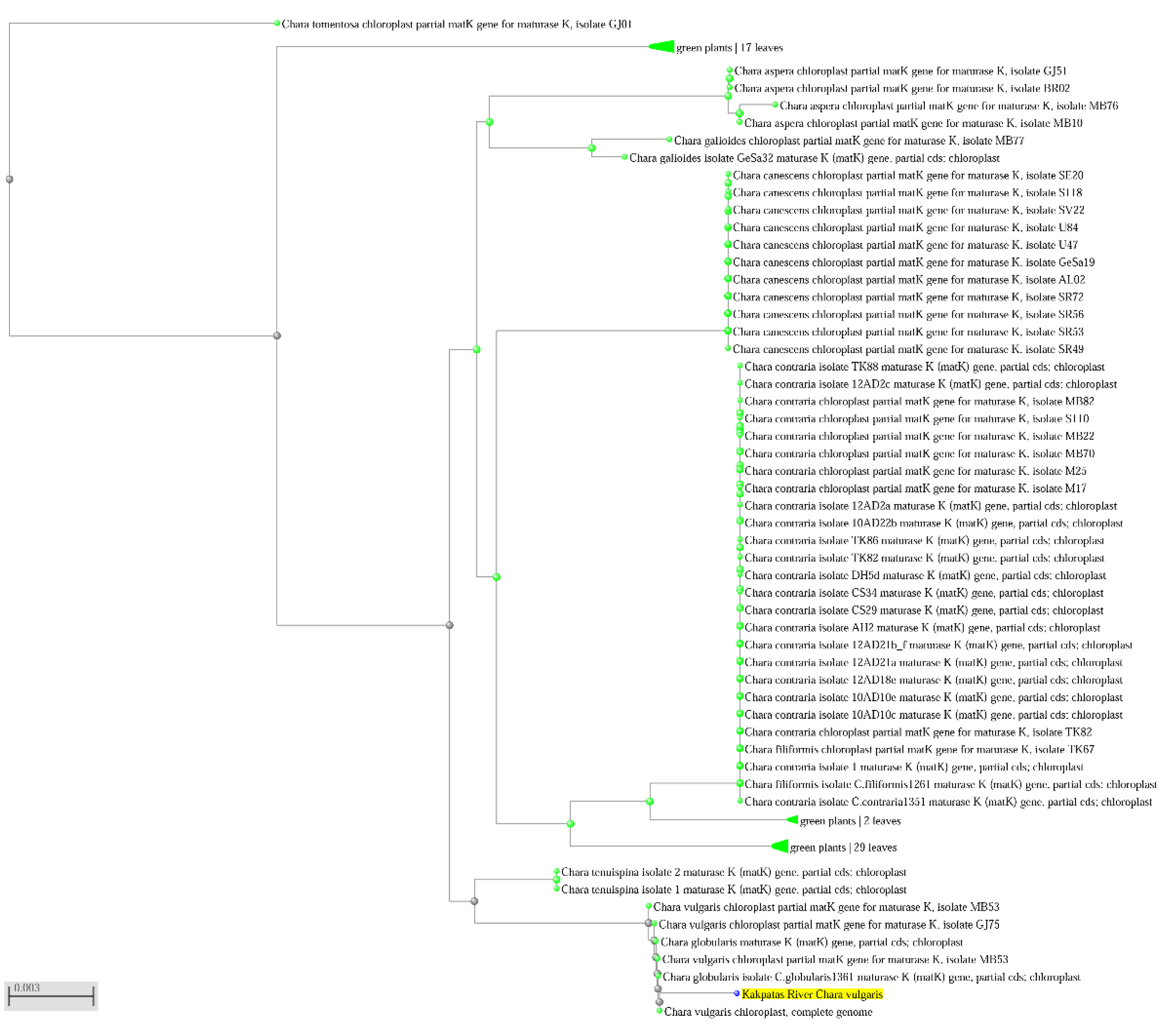 Plants 12 00368 g006