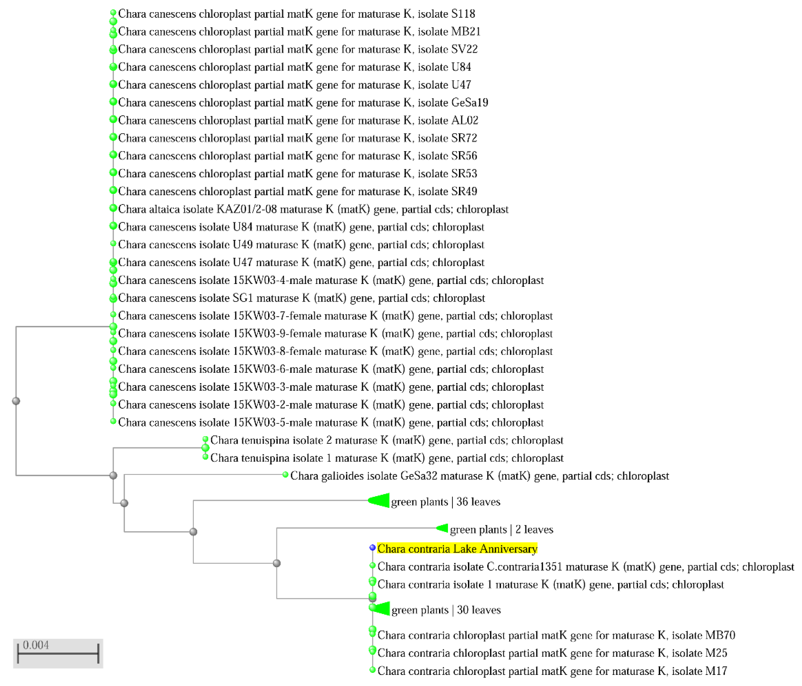 Plants 12 00368 g007
