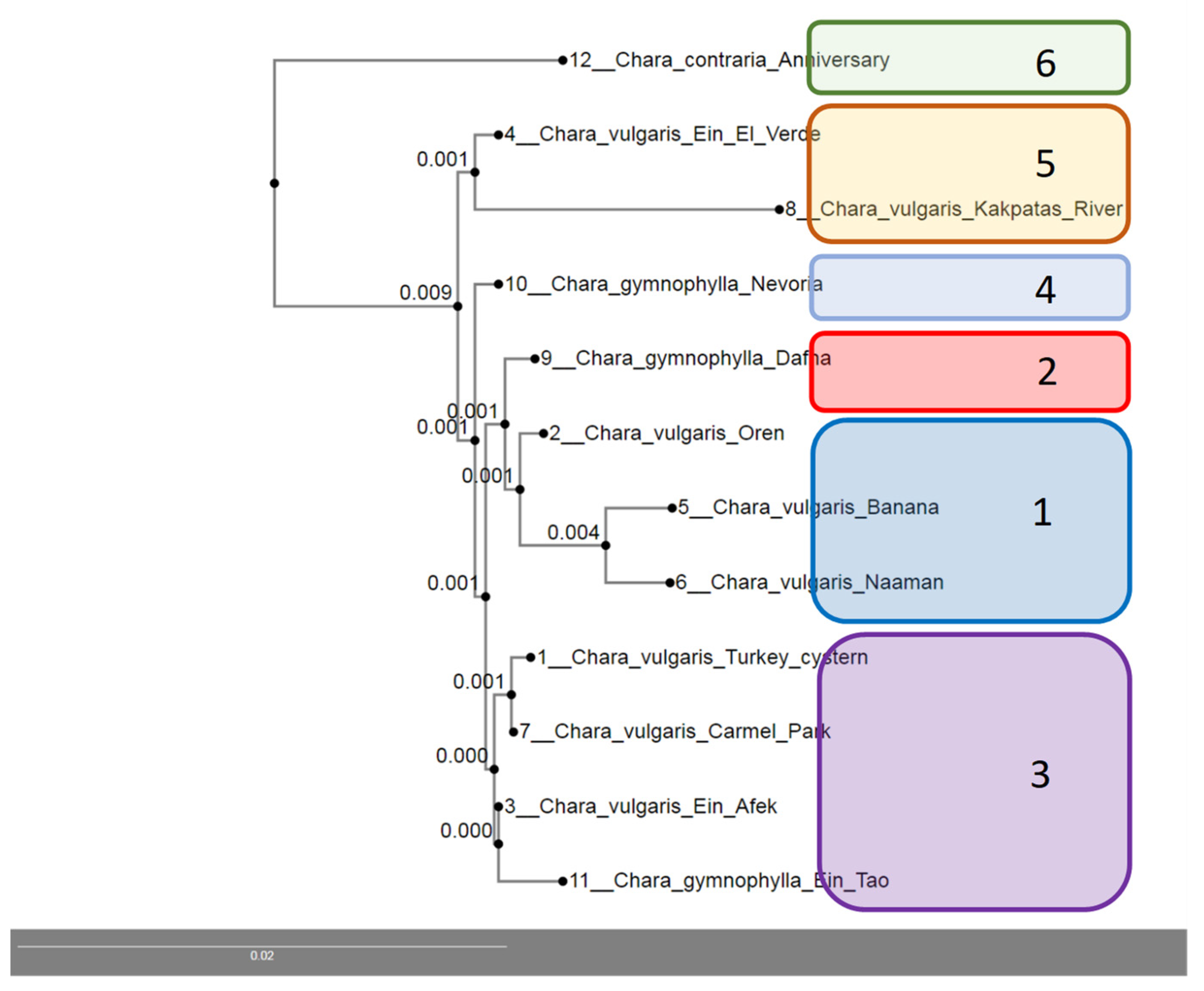 Plants 12 00368 g008