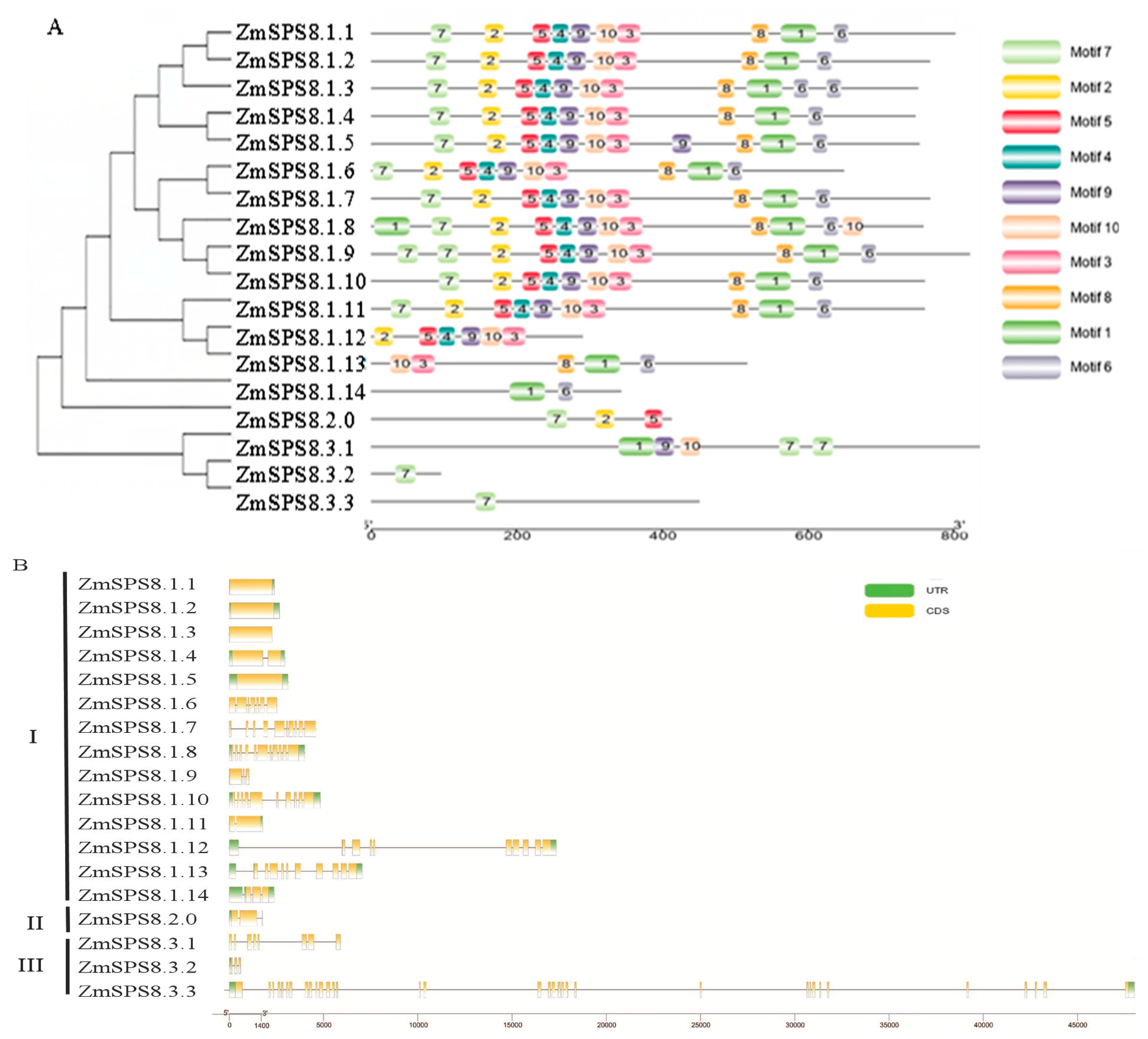 Plants 12 00369 g001