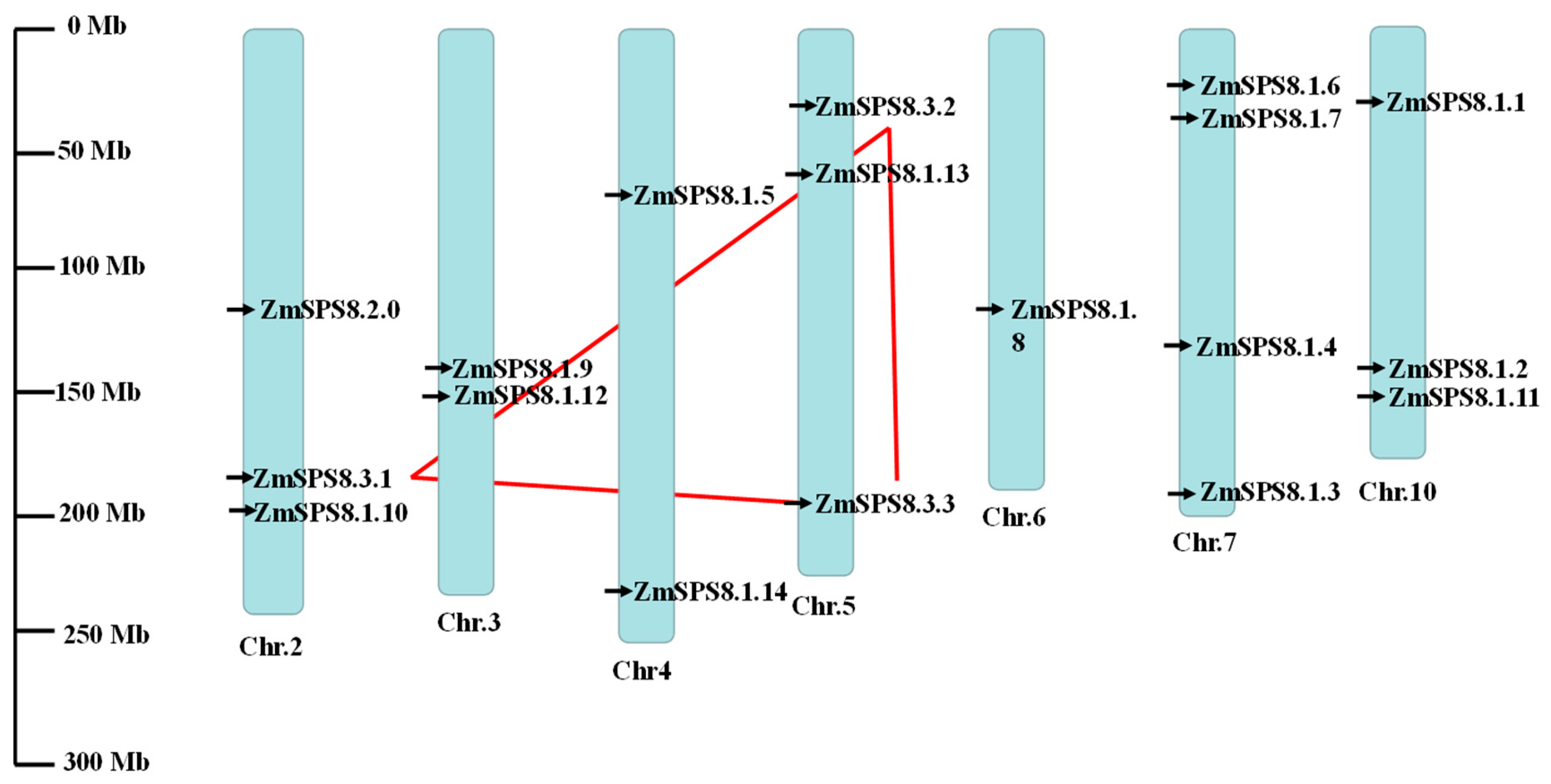 Plants 12 00369 g002