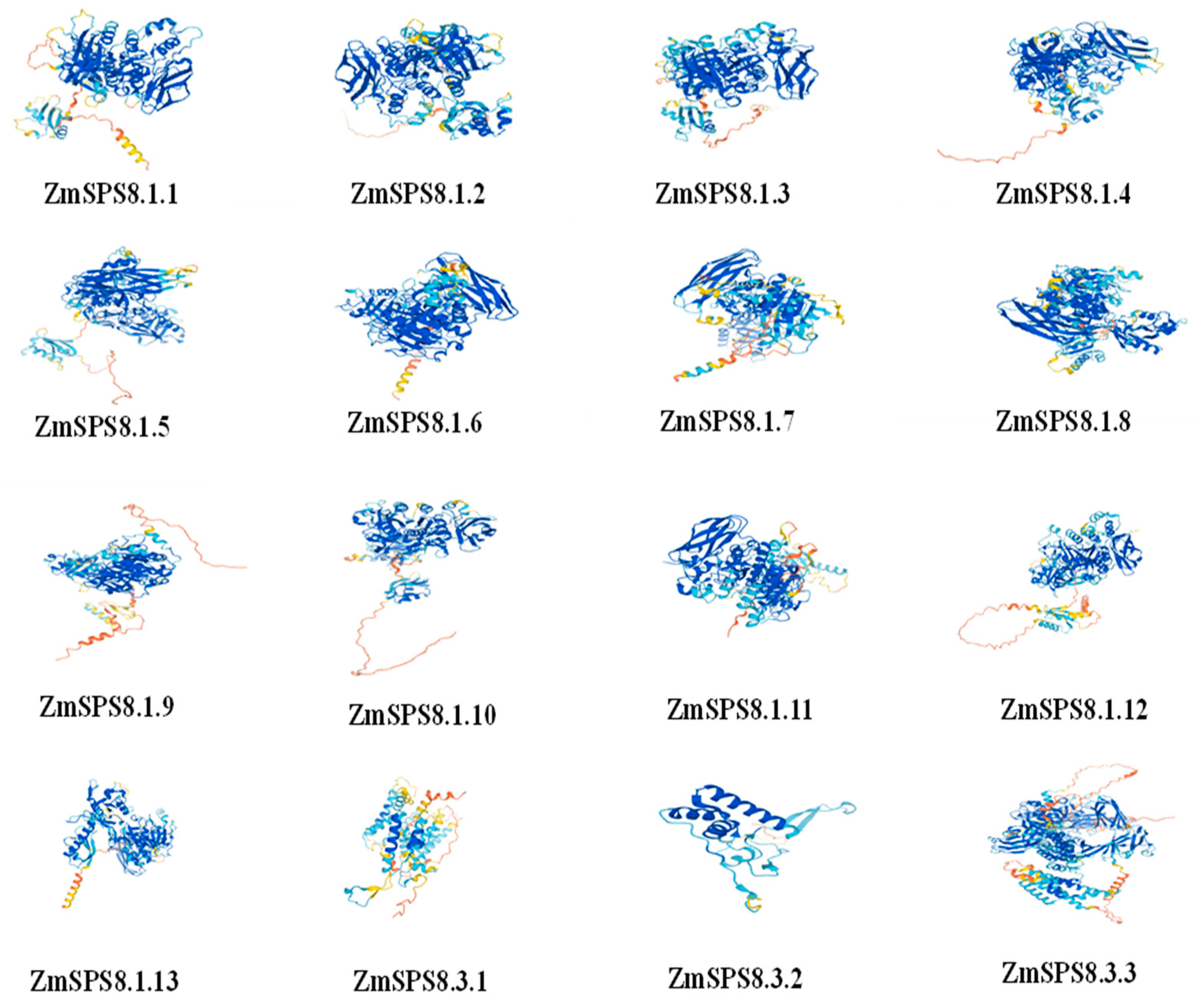 Plants 12 00369 g003