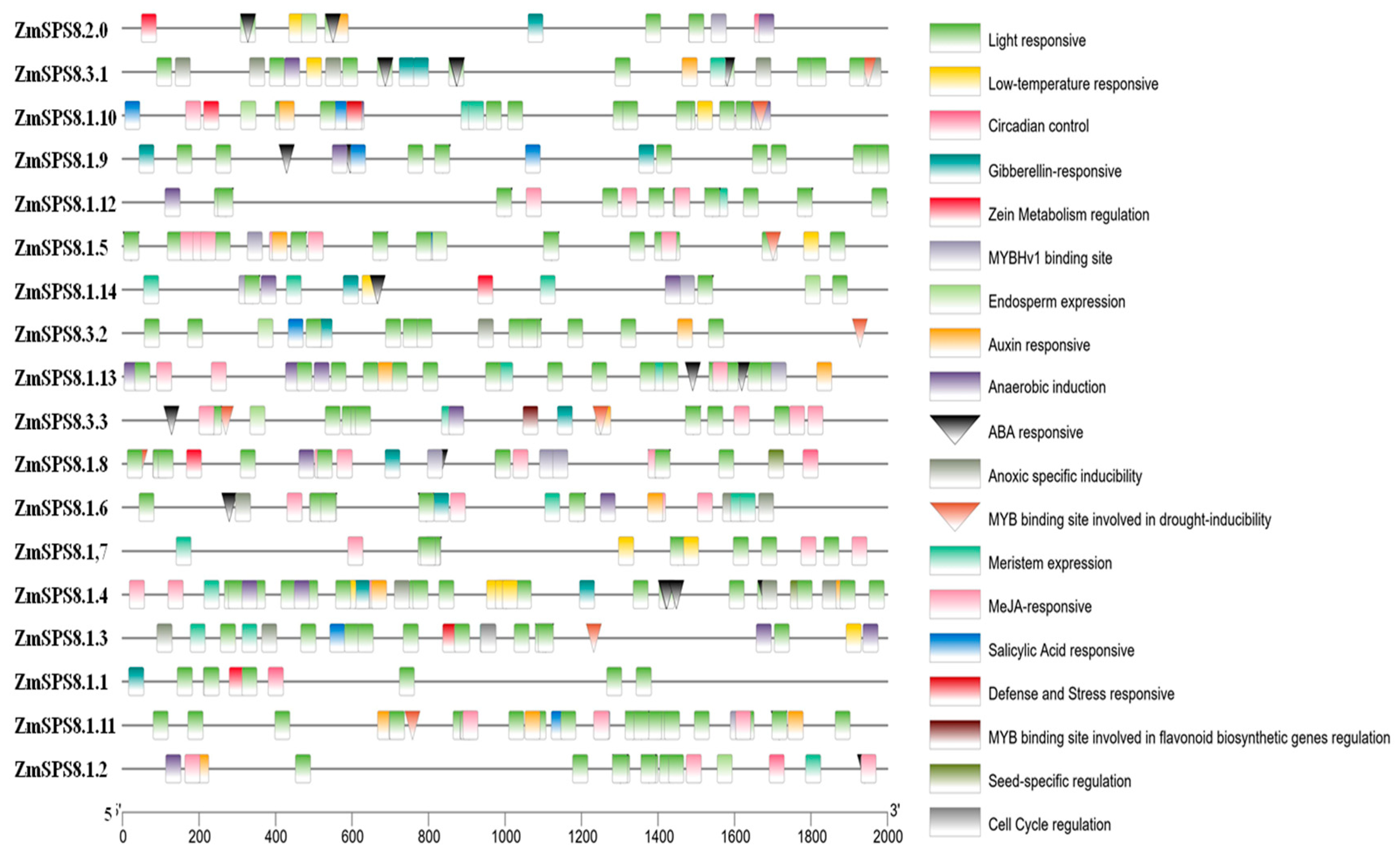 Plants 12 00369 g004