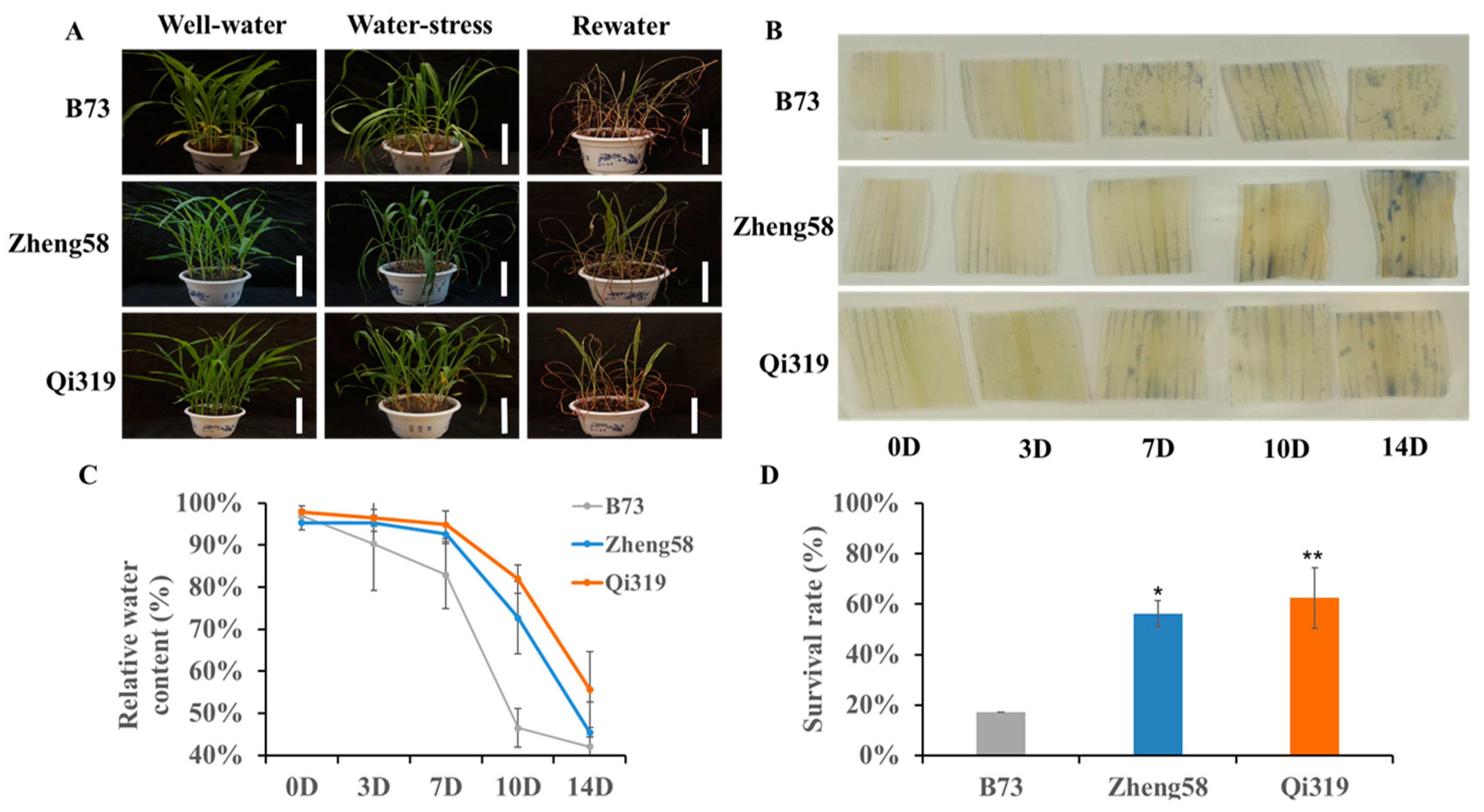 Plants 12 00369 g006