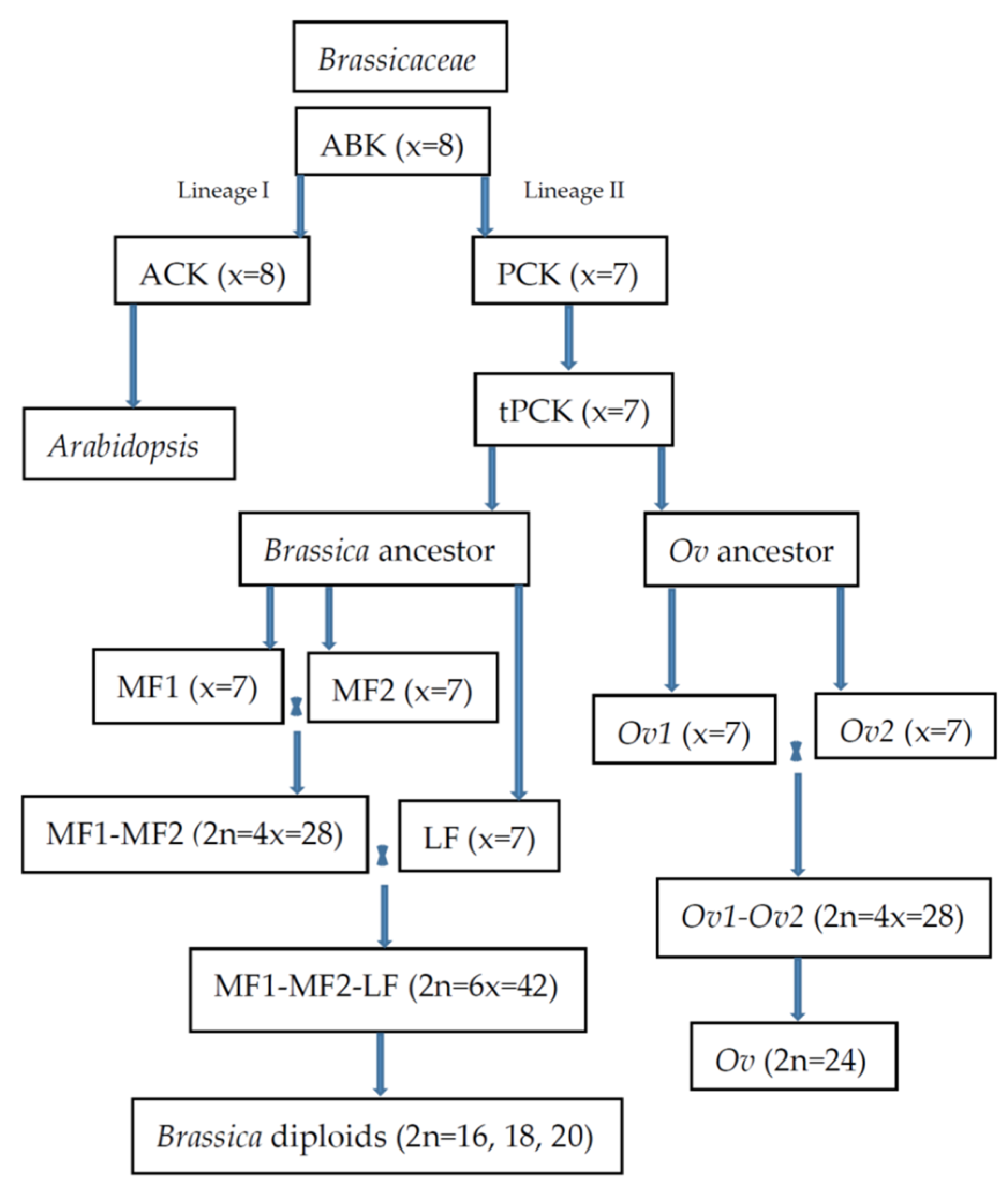 Plants 12 00374 g001