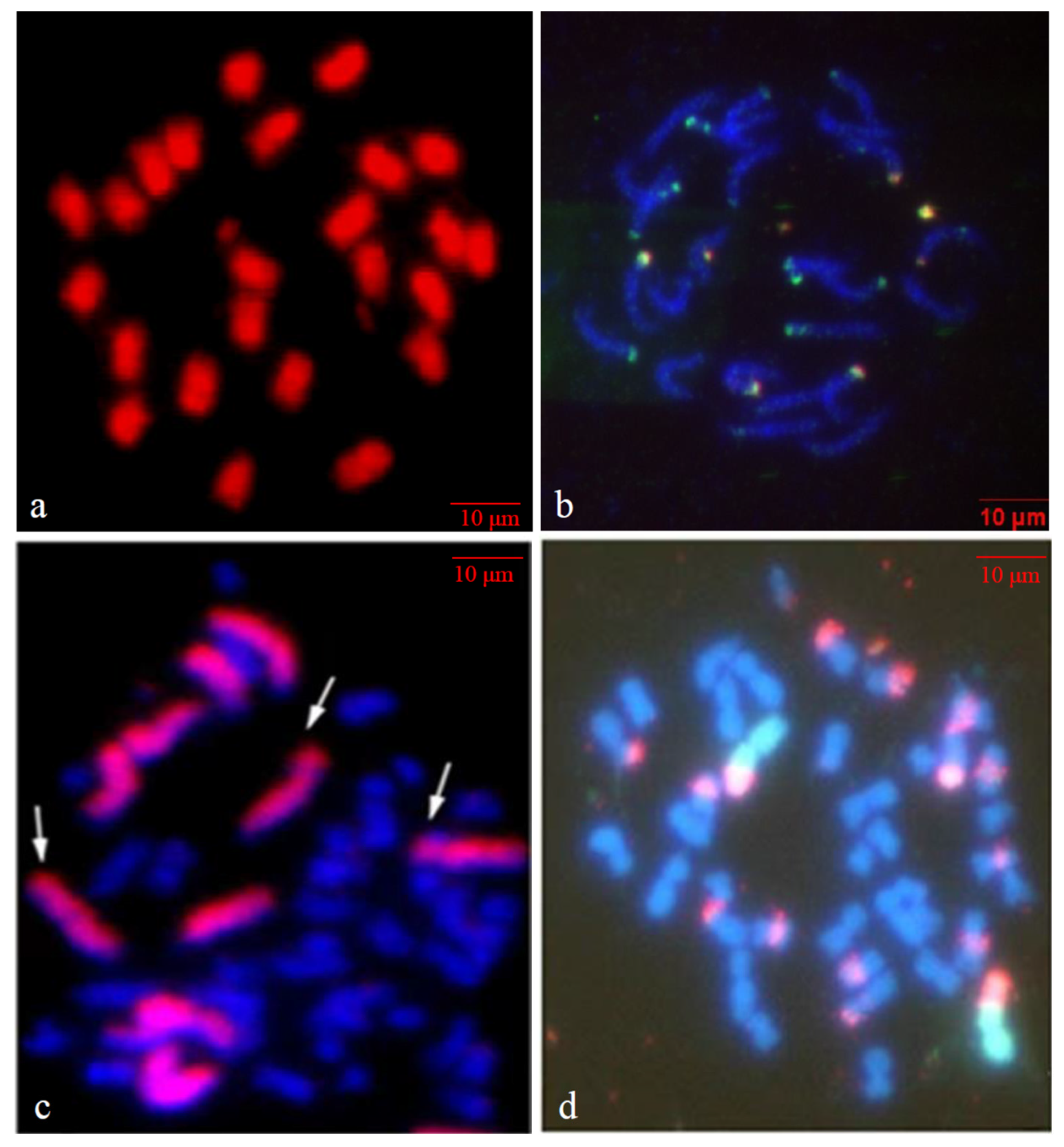 Plants 12 00374 g002