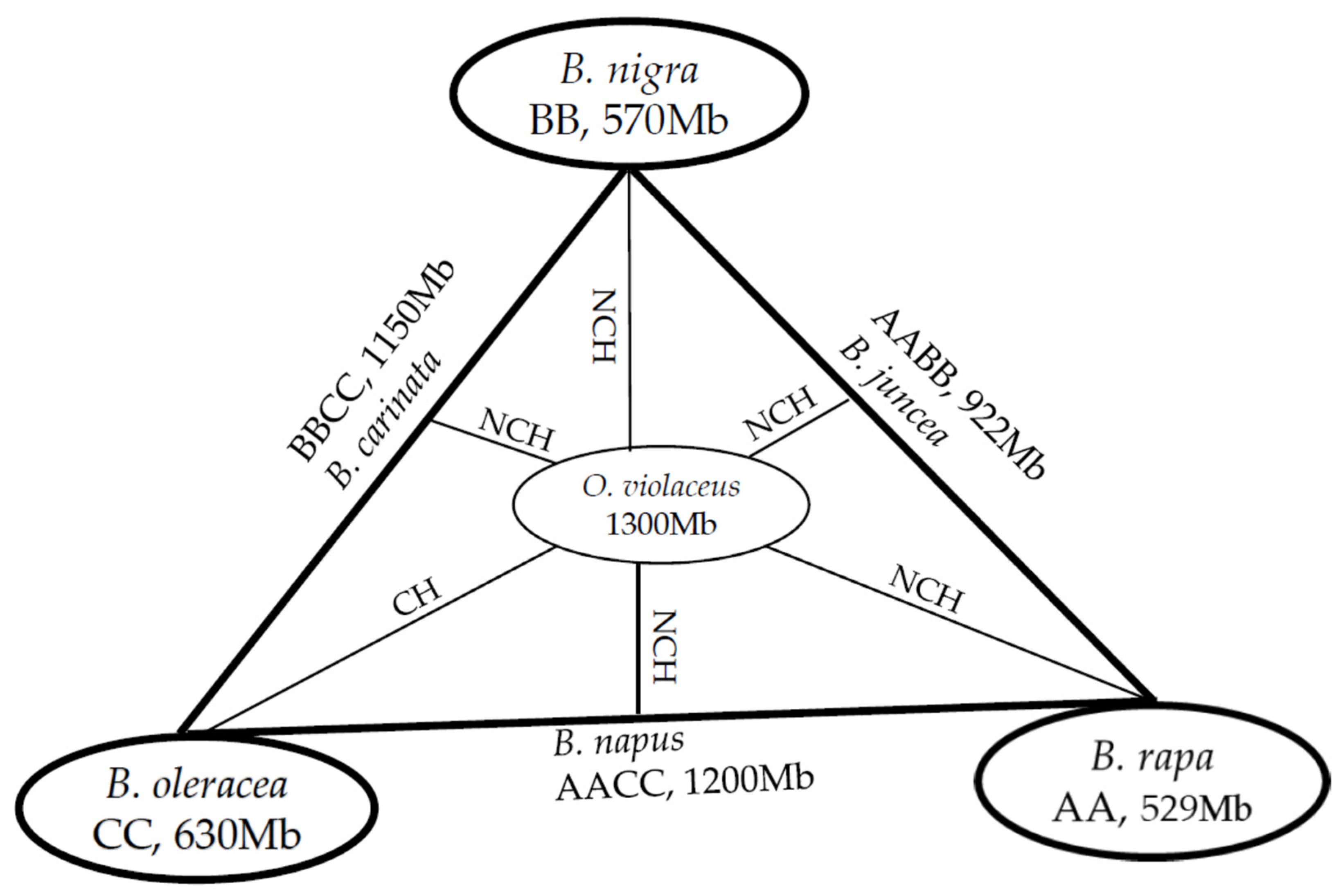 Plants 12 00374 g003