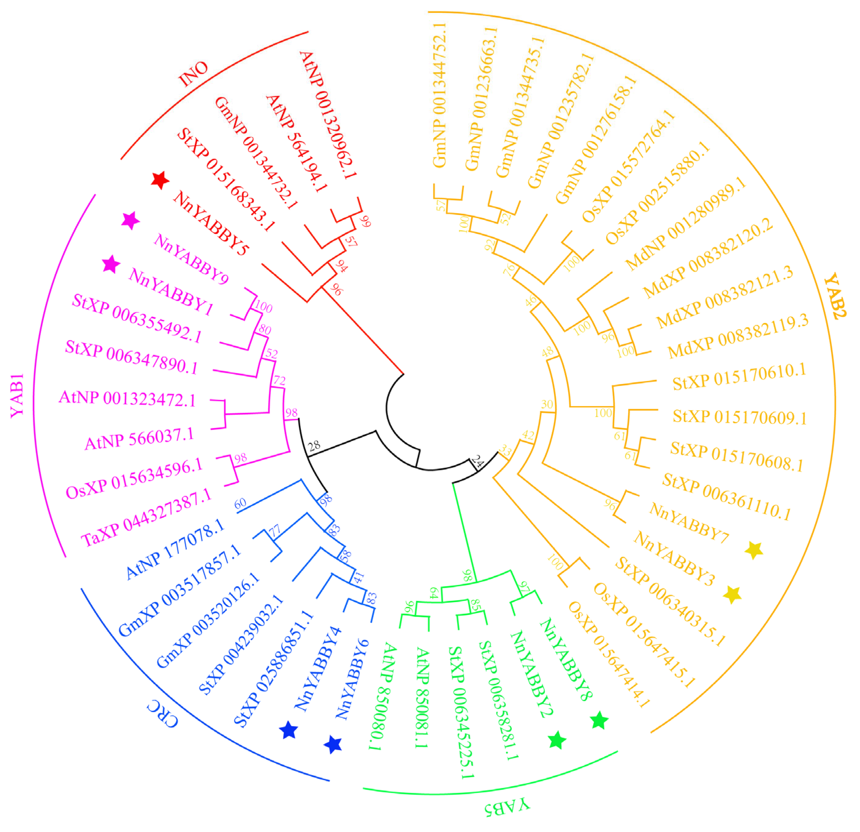Plants 12 00380 g001