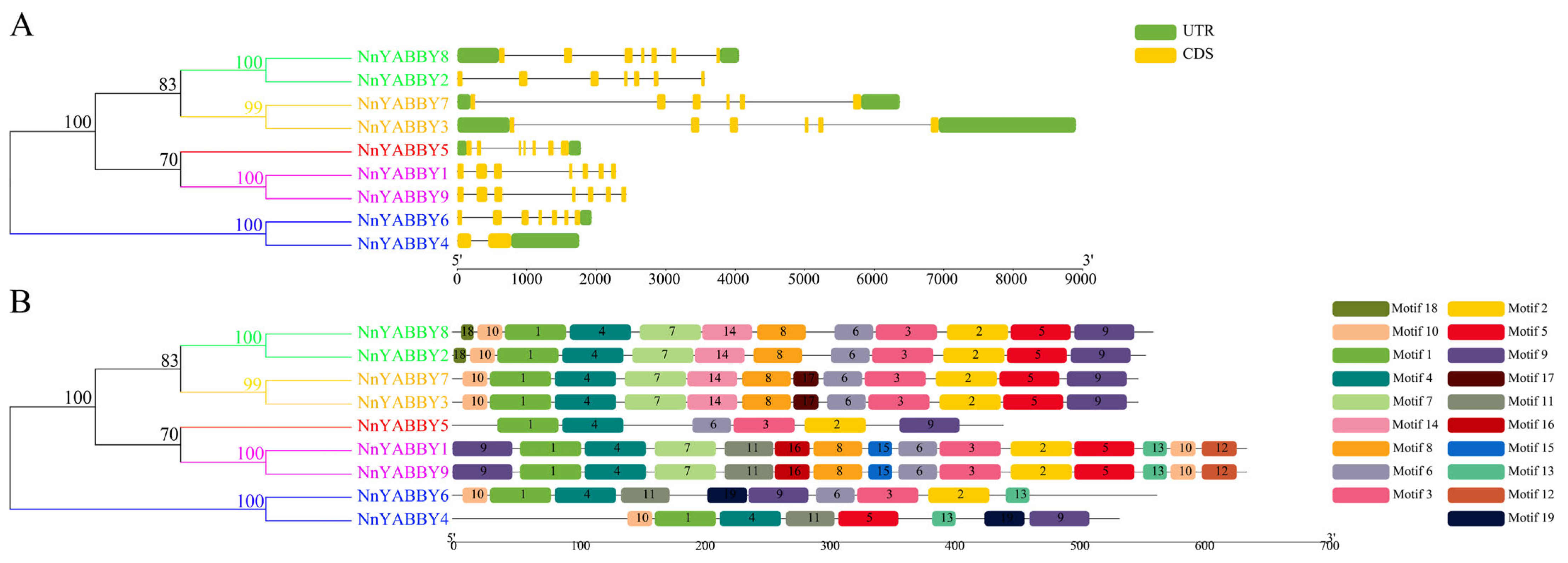 Plants 12 00380 g002