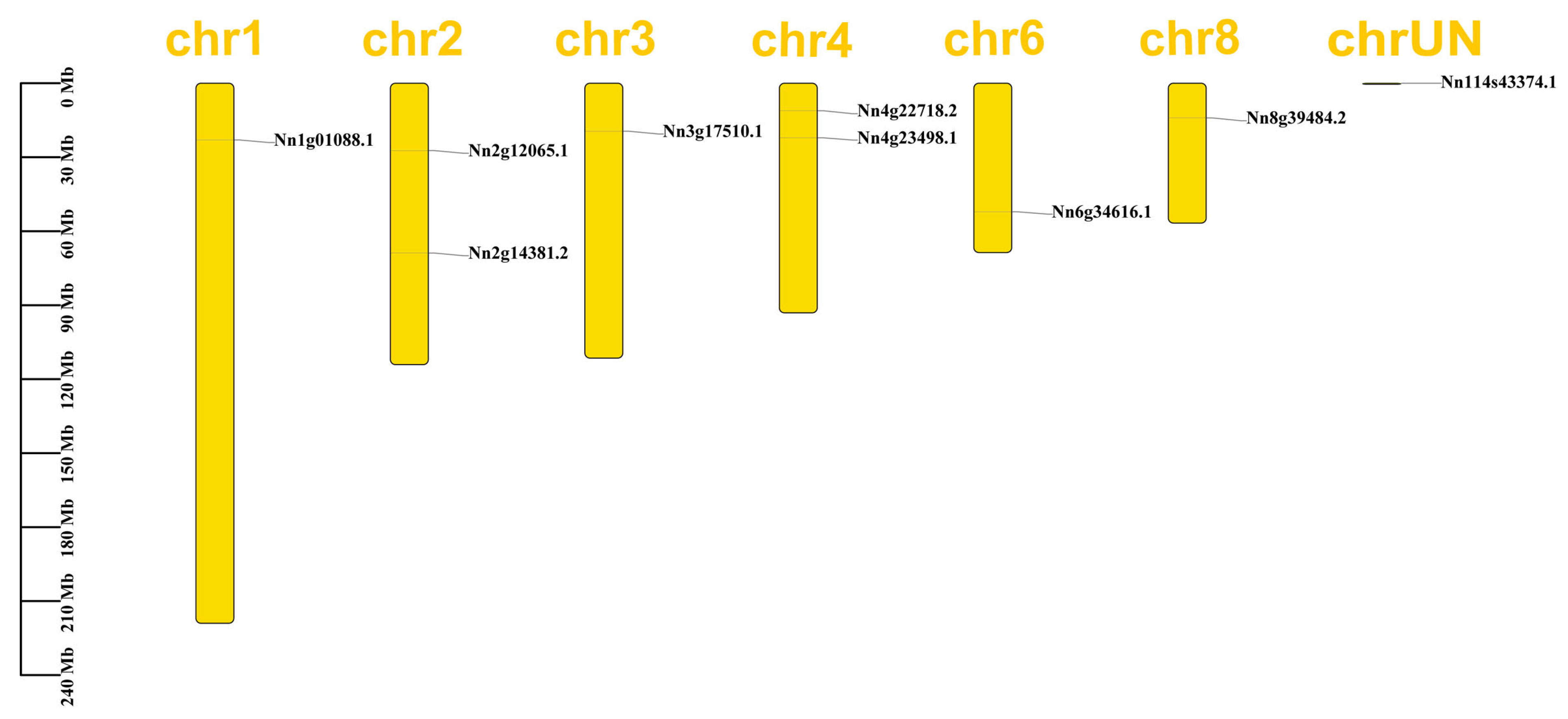 Plants 12 00380 g003