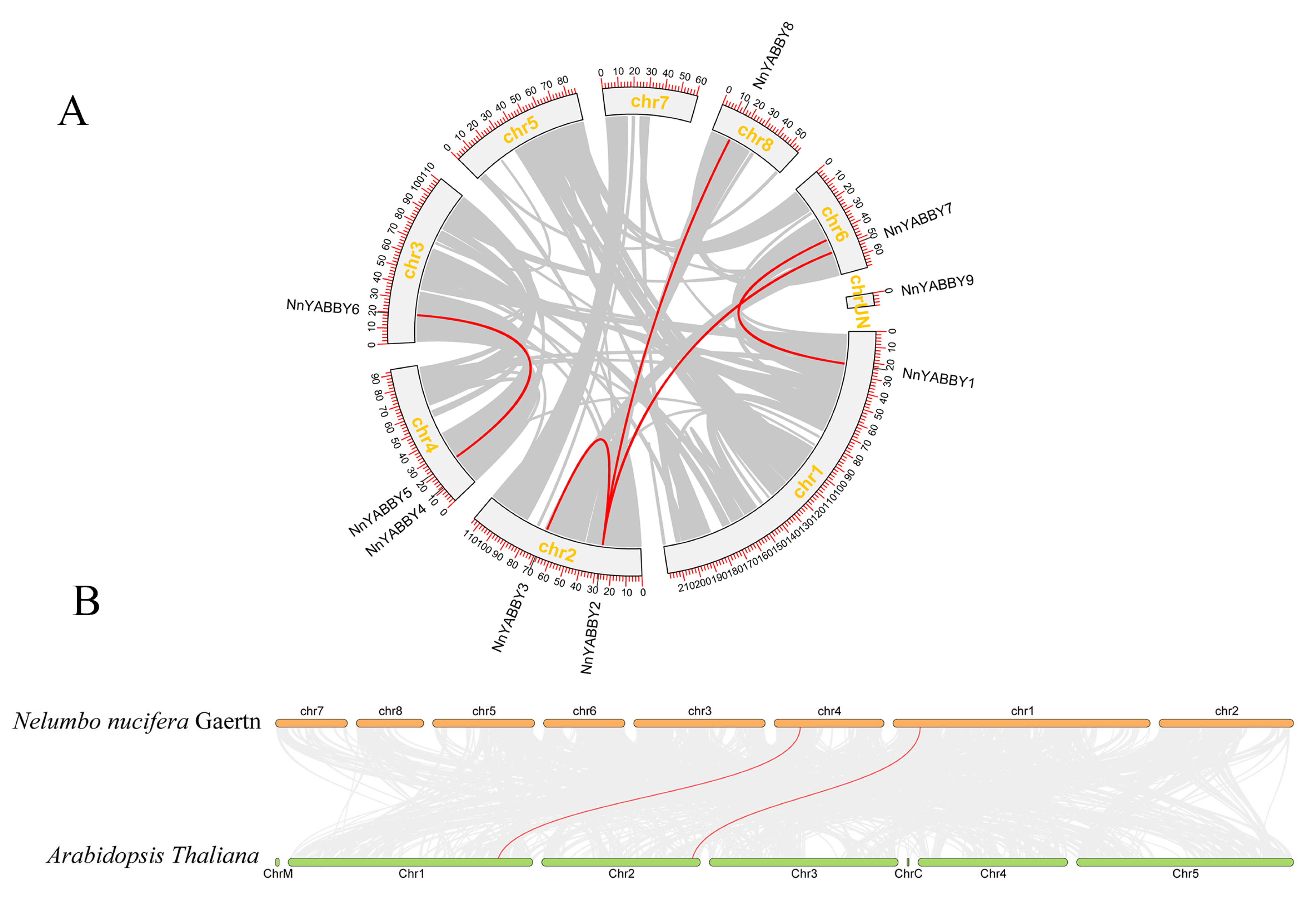 Plants 12 00380 g004