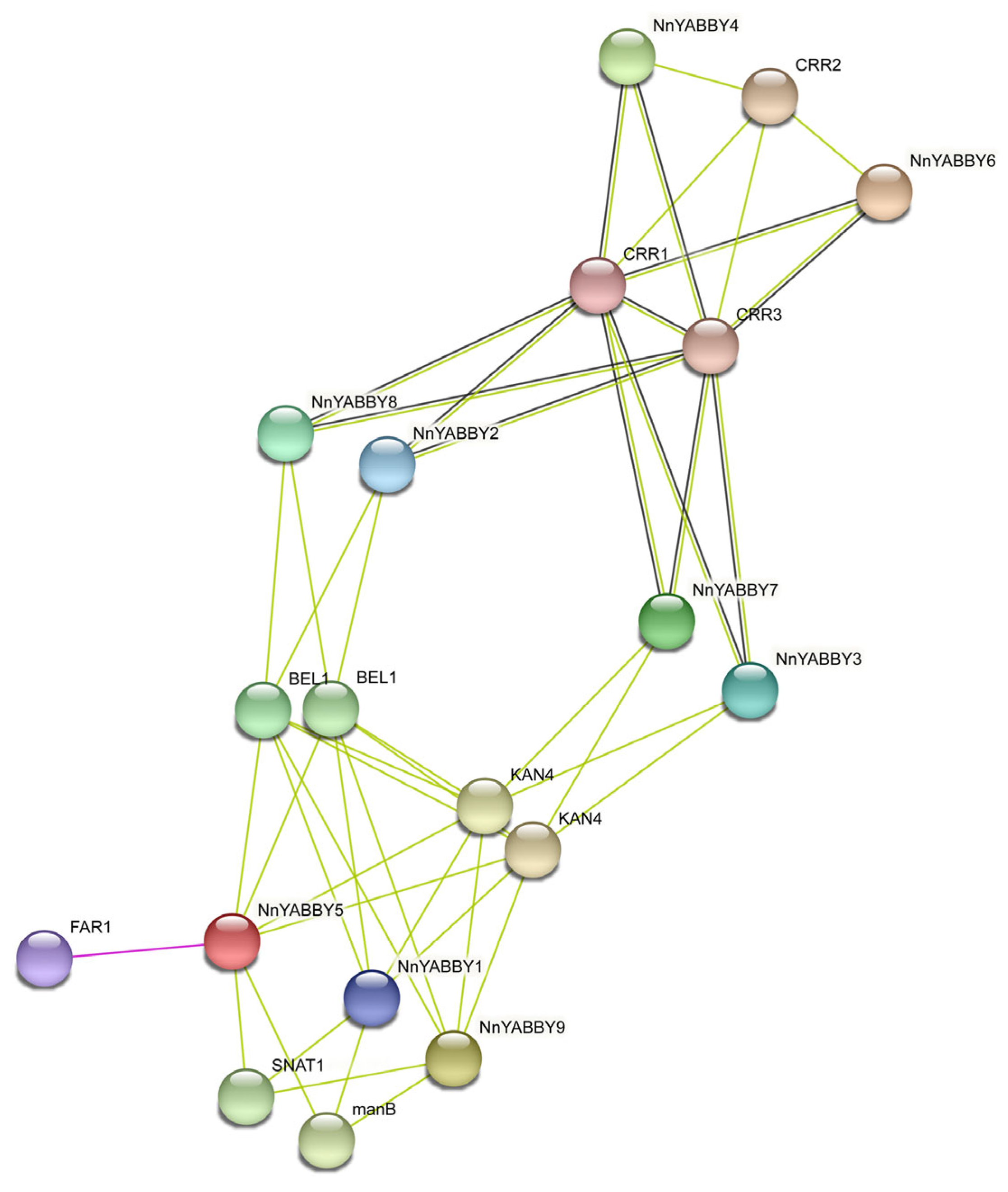 Plants 12 00380 g006