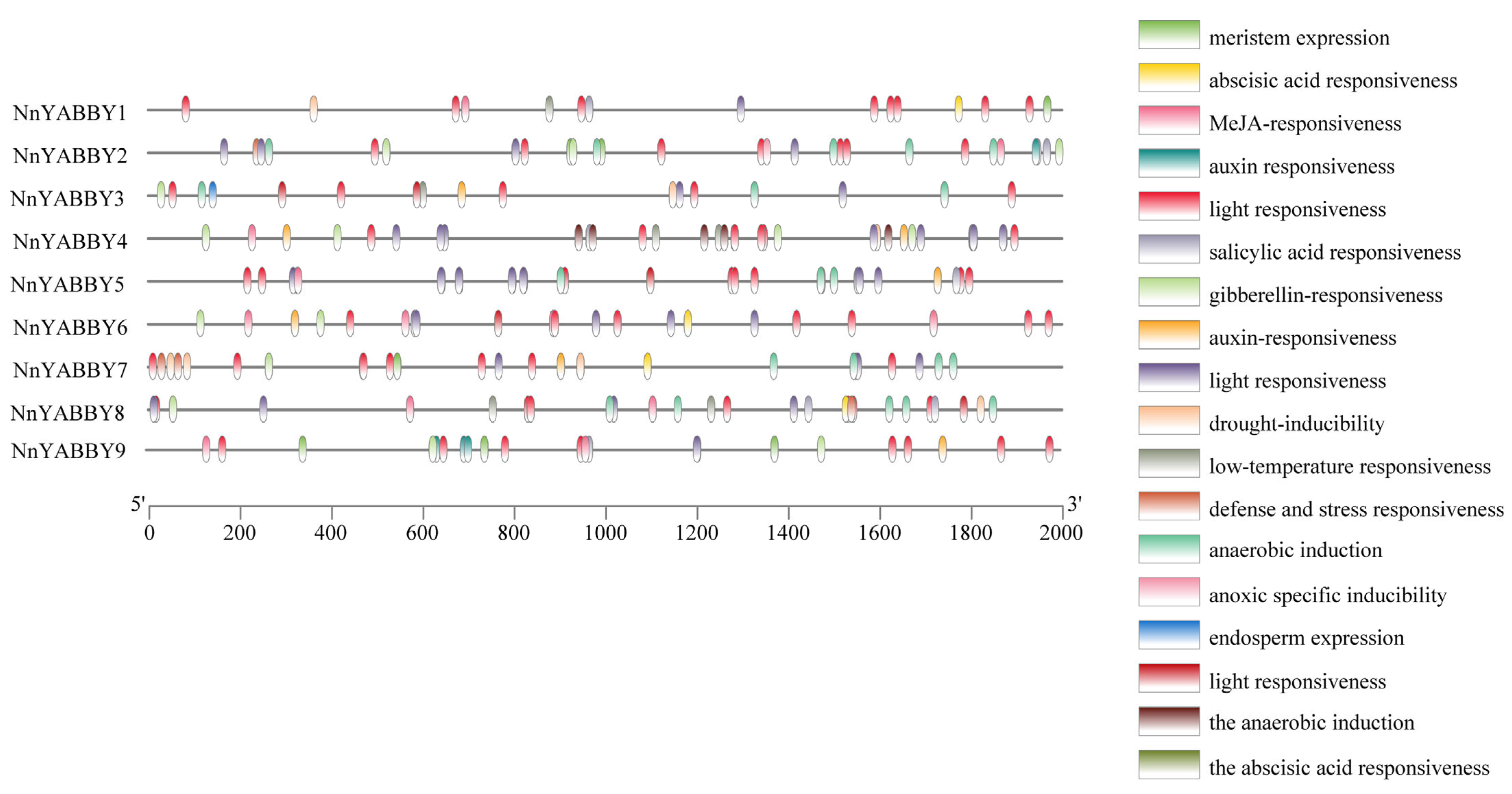 Plants 12 00380 g007