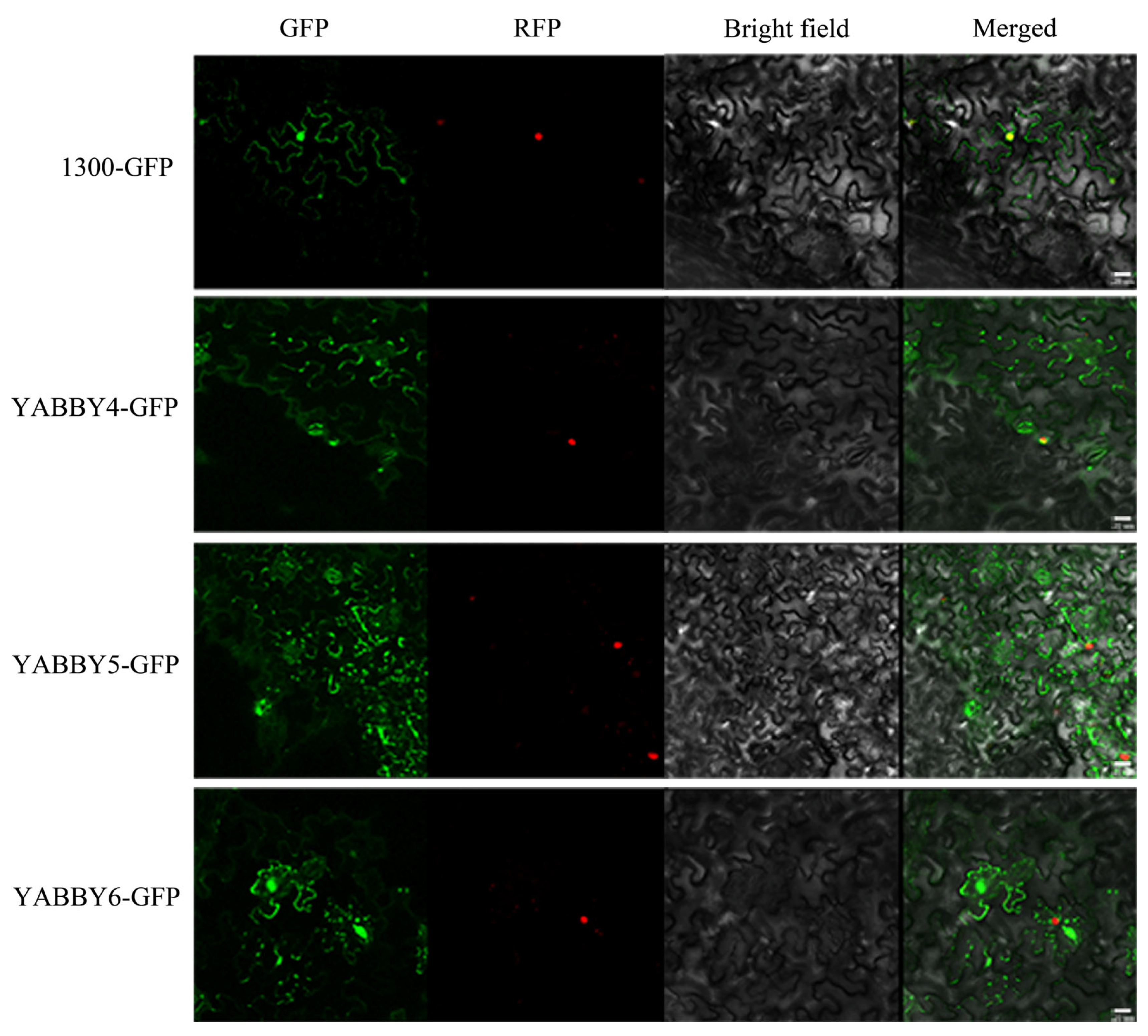 Plants 12 00380 g009