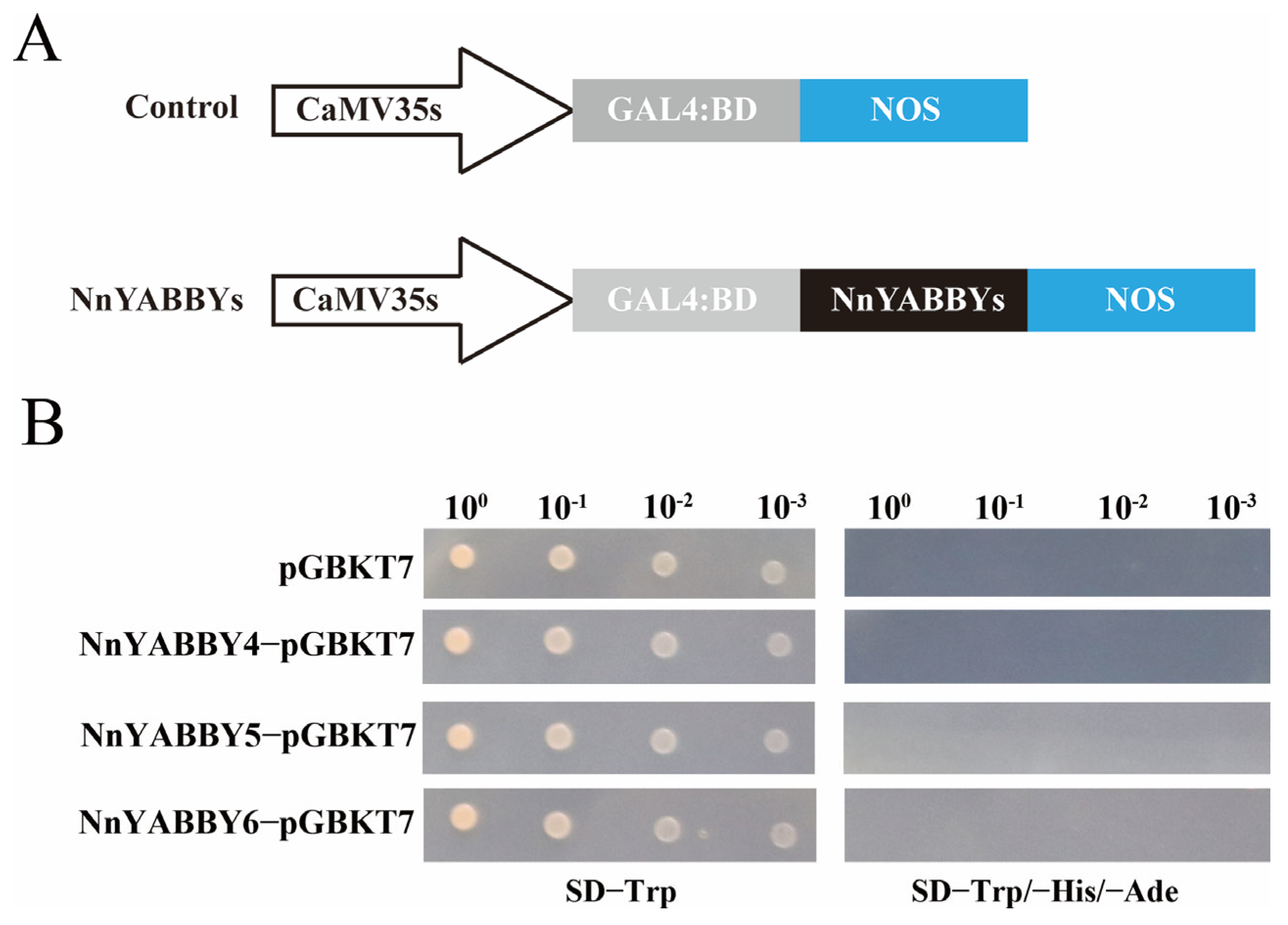 Plants 12 00380 g010