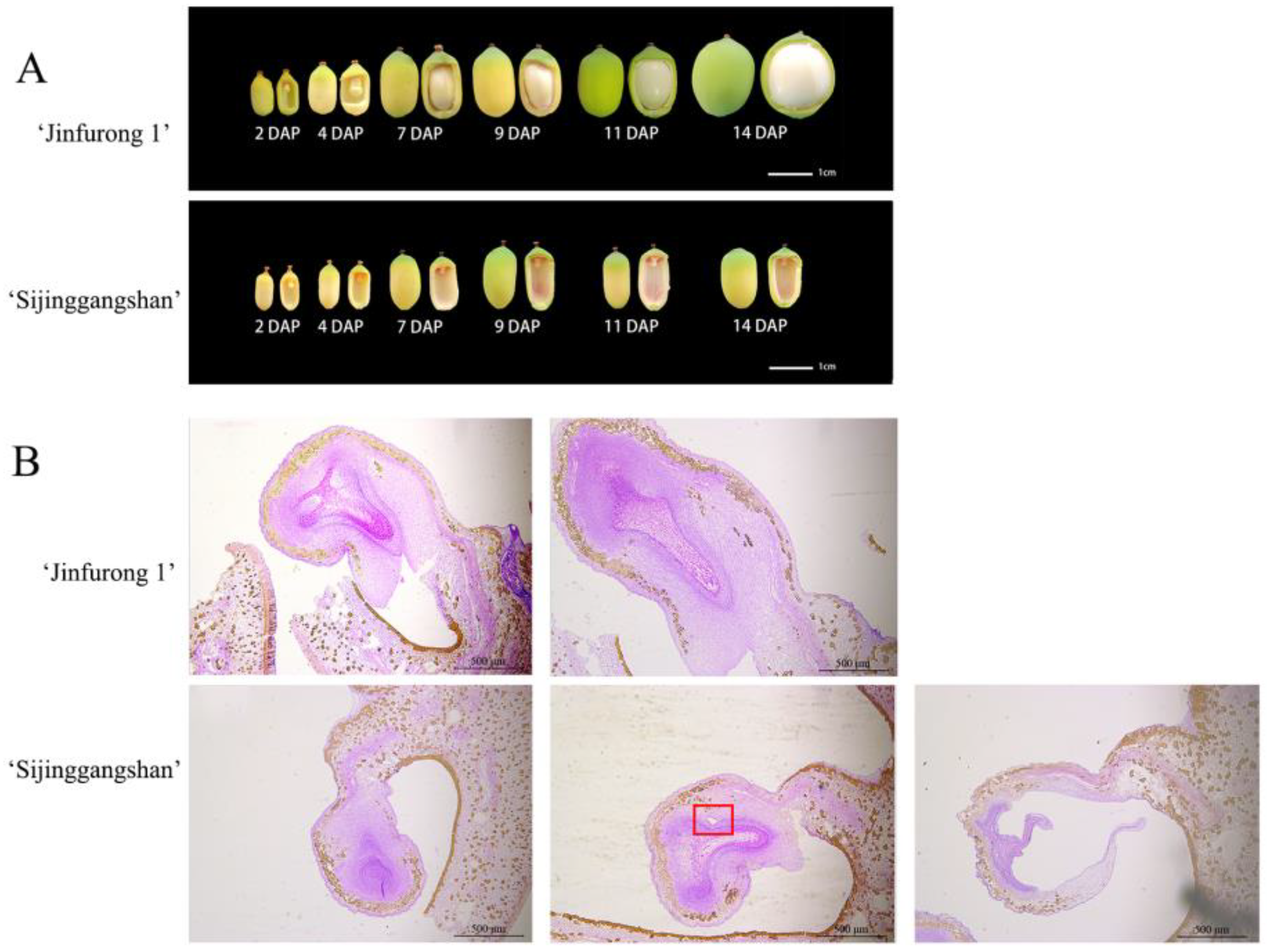 Plants 12 00387 g001