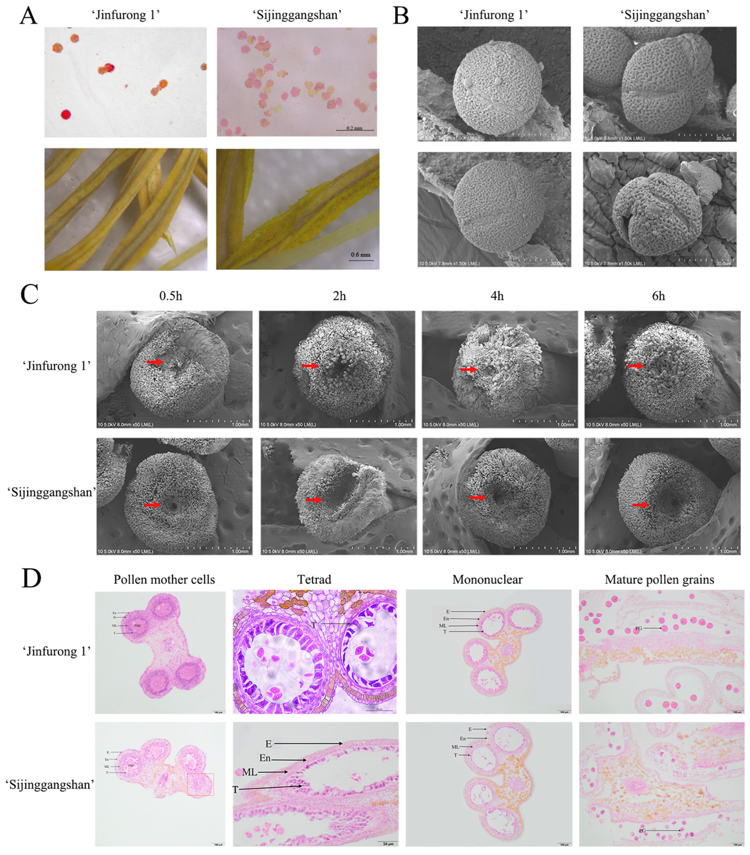 Plants 12 00387 g002